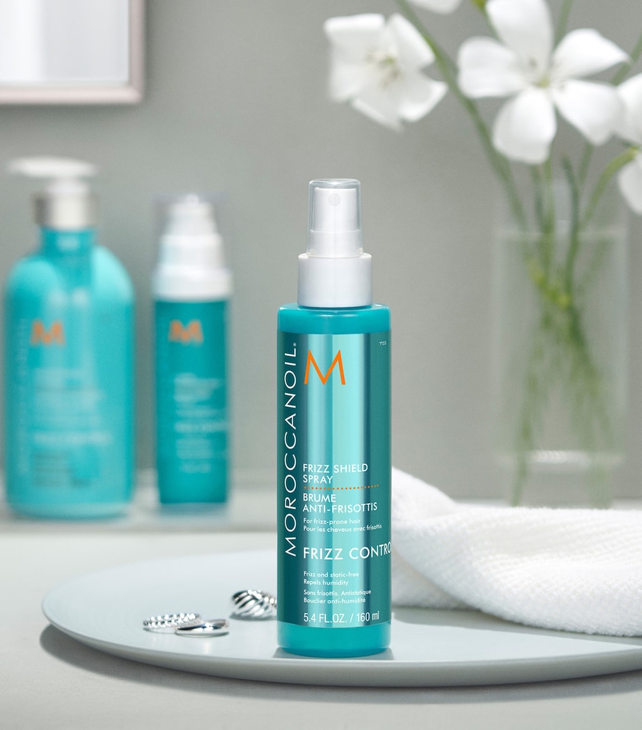 Frizz Shield Spray (160ml) NO COLOUR Image 4