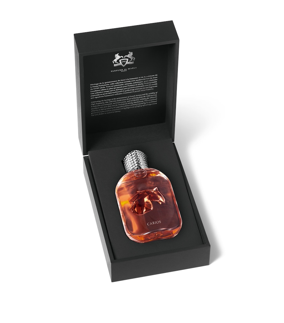 Carios Extrait de Parfum  (100ml) NO COLOUR Image 4
