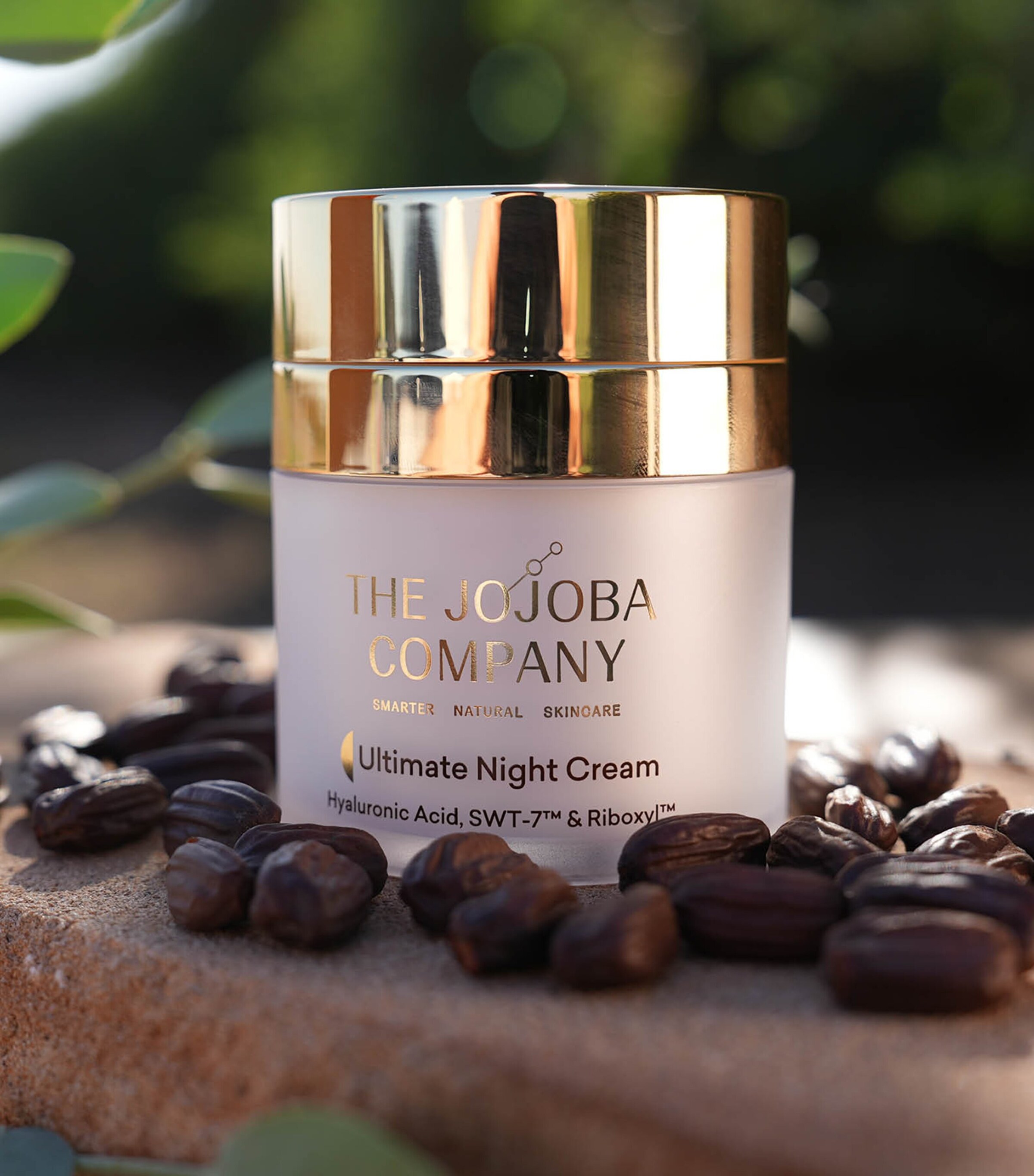 THE JOJOBA COMPANY Ultimate Night Cream (50ml) Image 2