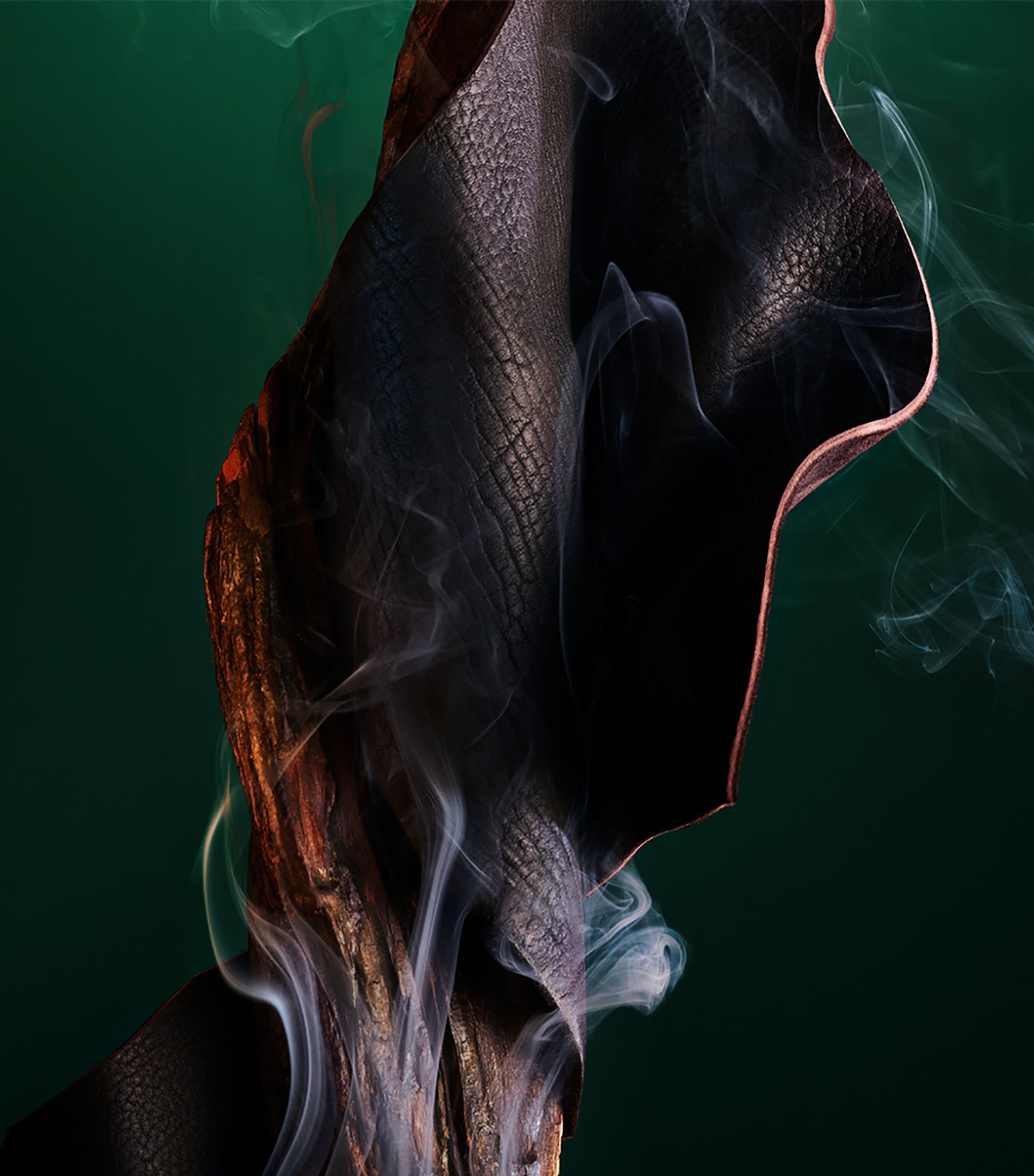 Le Gemme Falkar Eau de Parfum NO COLOUR Image 3