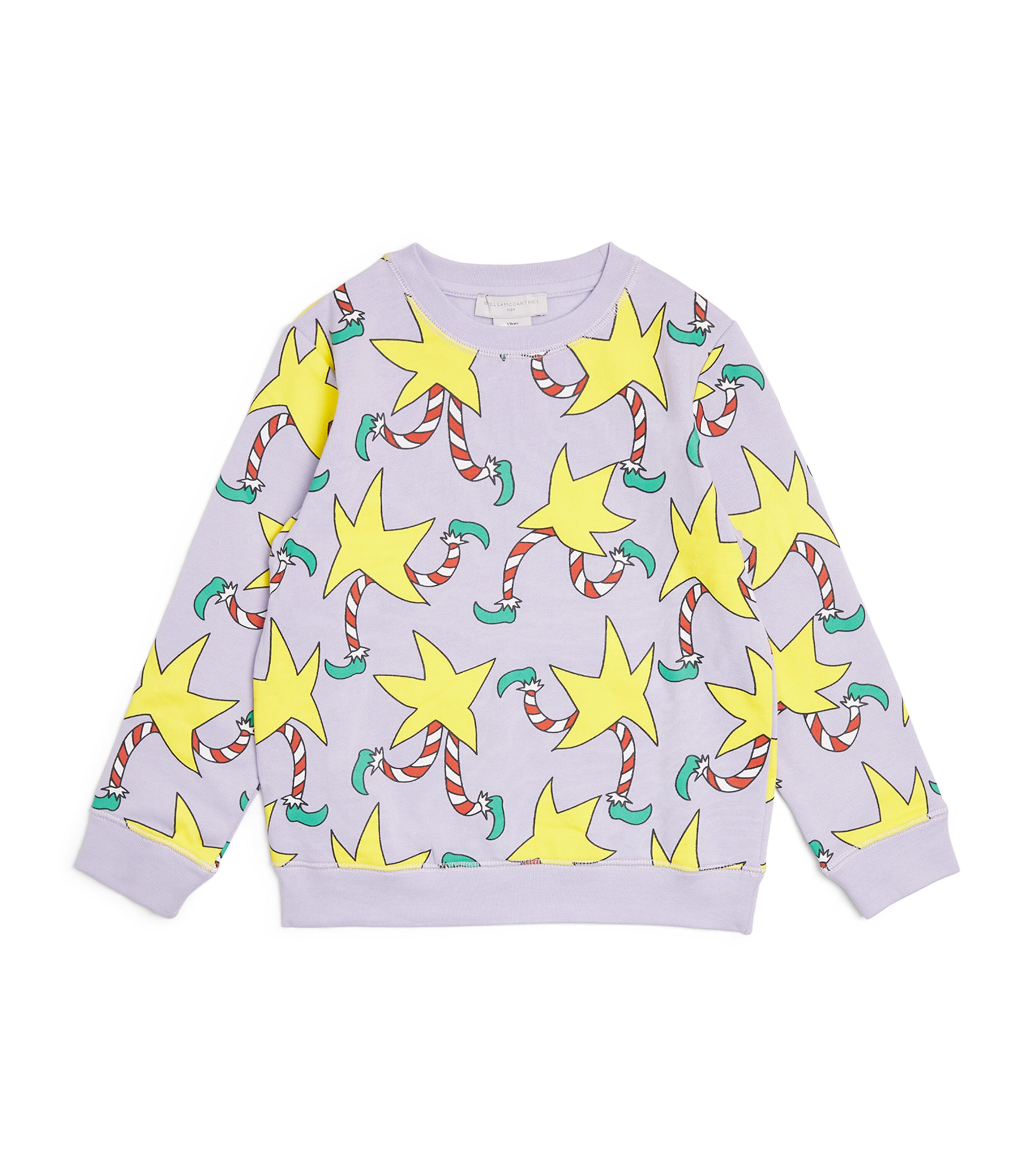 Stella Mccartney Organic Cotton Star Print Sweatshirt In Purple