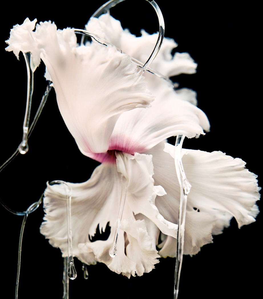 Blanche Absolu de Parfum (50ml) NO COLOUR Image 6