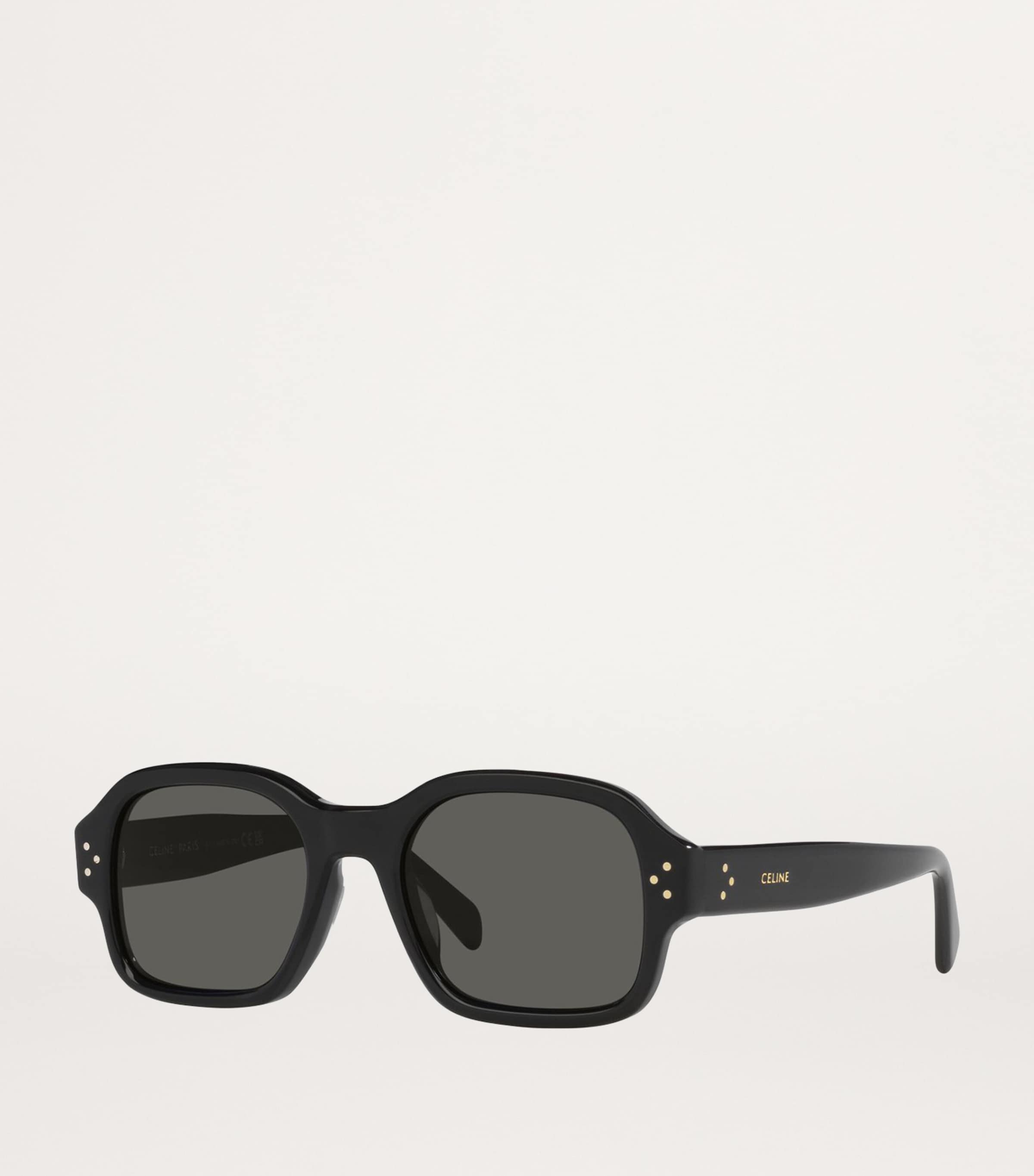 Celine Acetate 0CL000410 Sunglasses Image 2