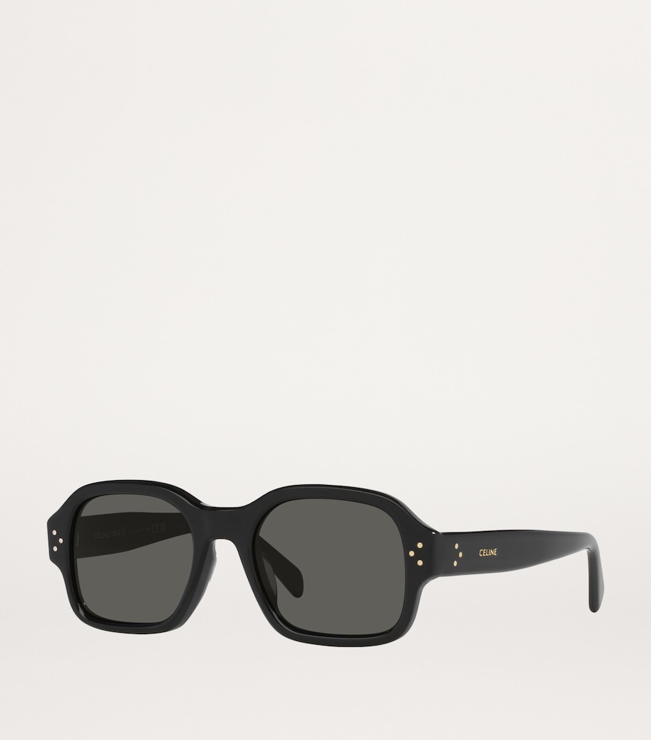 Celine Acetate 0CL000410 Sunglasses Image 2