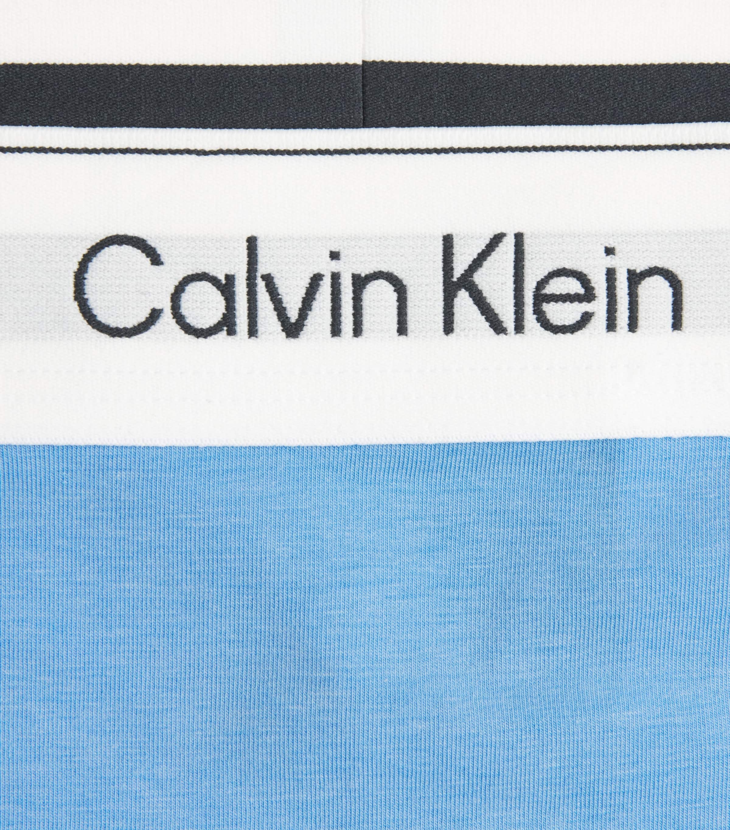 Calvin Klein Womens Cotton-Blend Icon Thong Descent Image 4