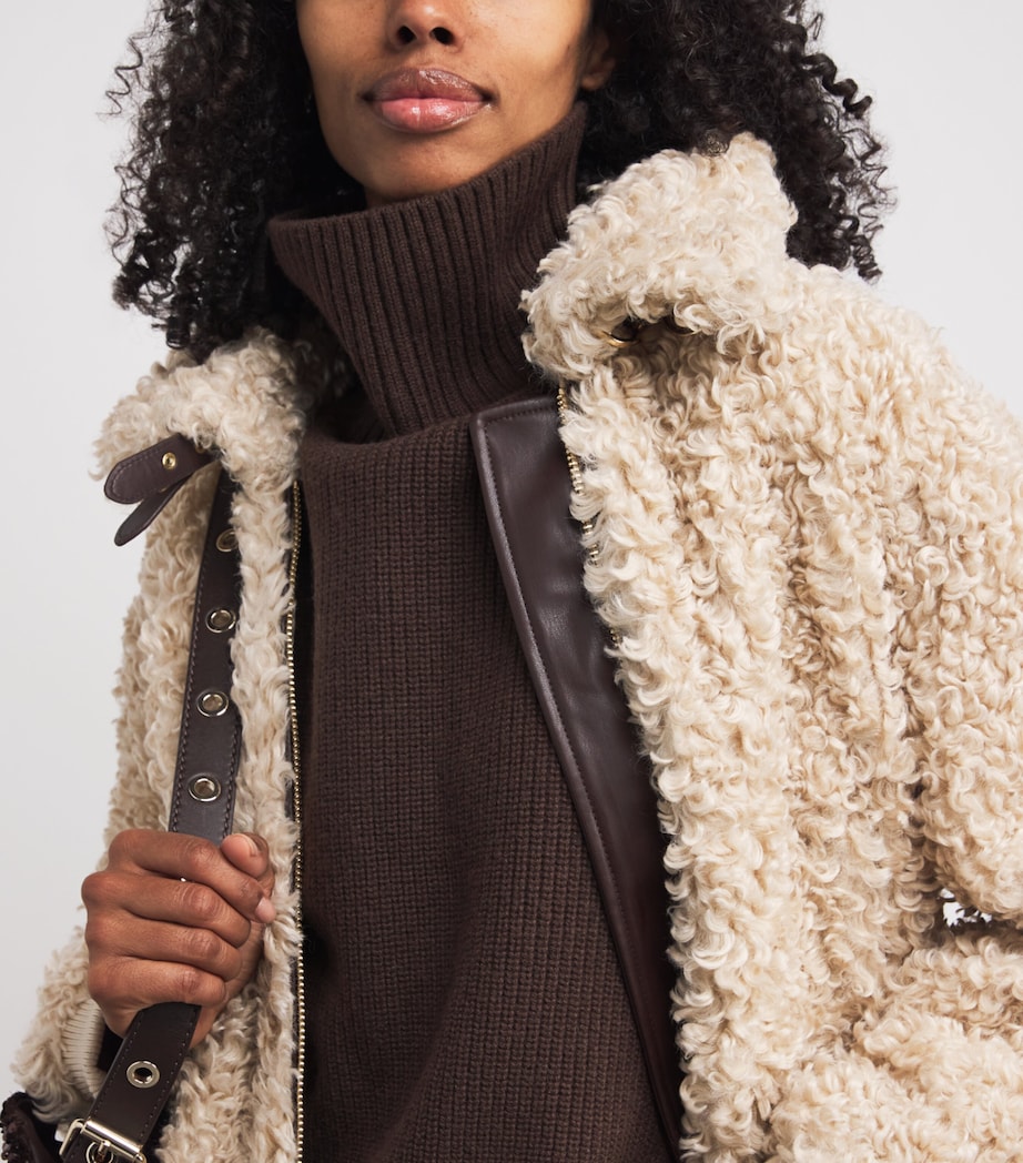 Wool-Cashmere Sweater Collar DARK BROWN Image 5