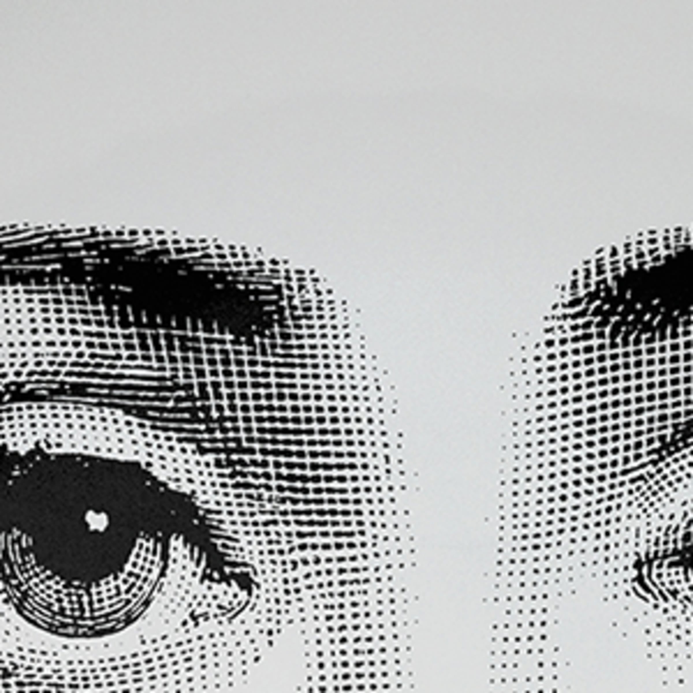 Fornasetti 테마 에 바리아지오니 no. 348 월 플레이트