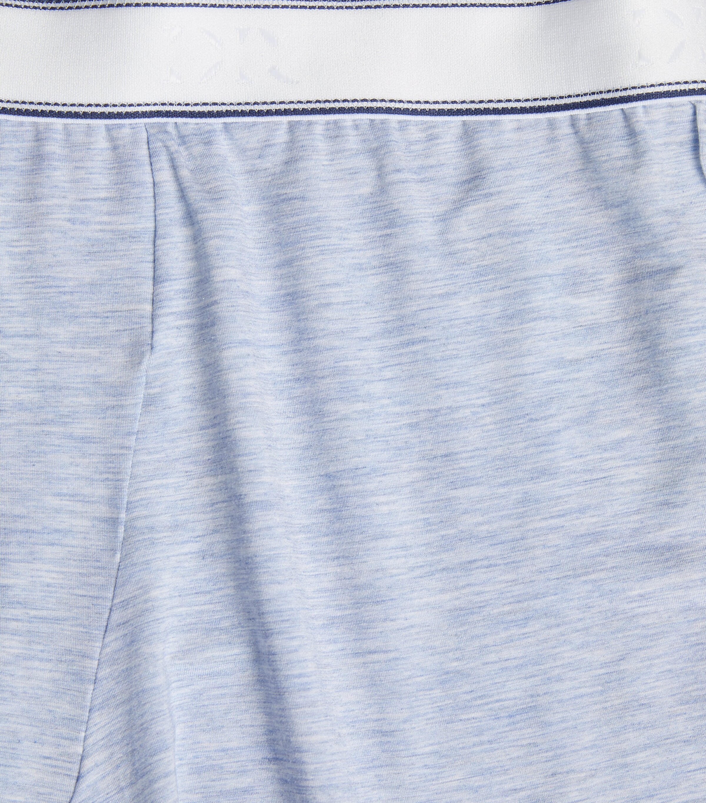 Micro Modal Trunks 001BLU Image 5