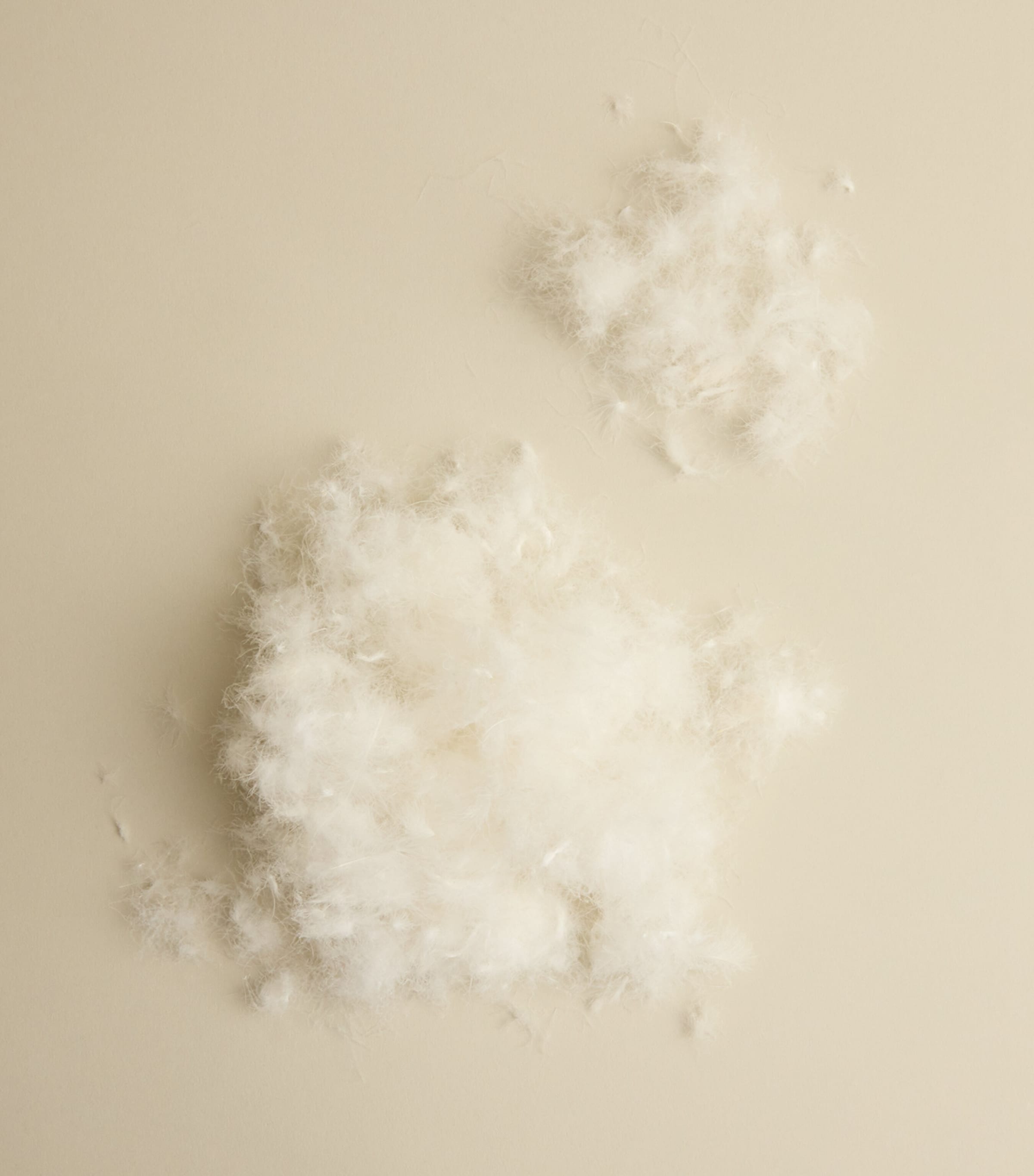 Down Cambridge Body Pillow (35cm x 160cm) WHITE Image 3