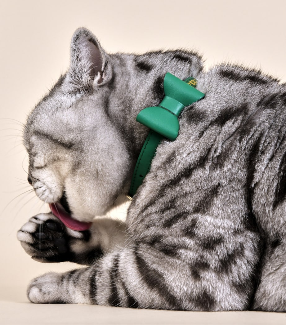 Medium Leather Wonderland Cat Collar GREEN Image 3