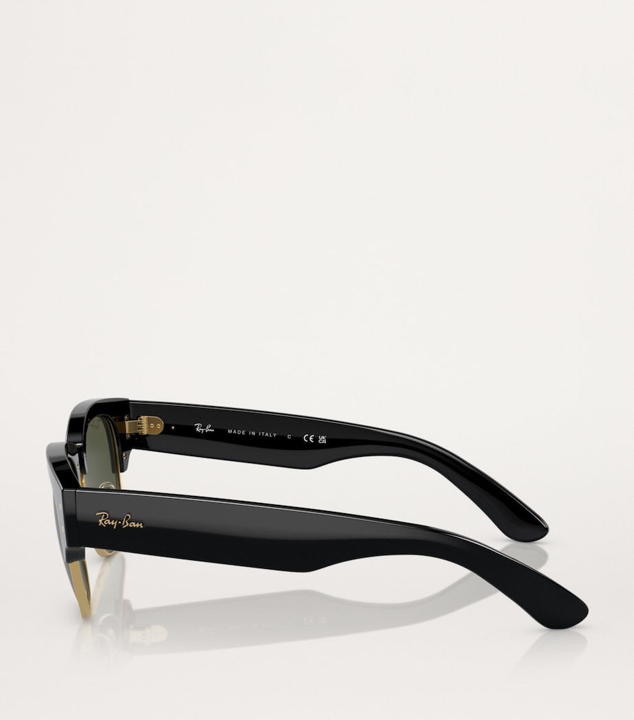 Ray-Ban Propionate 0RB0316S Sunglasses Image 3