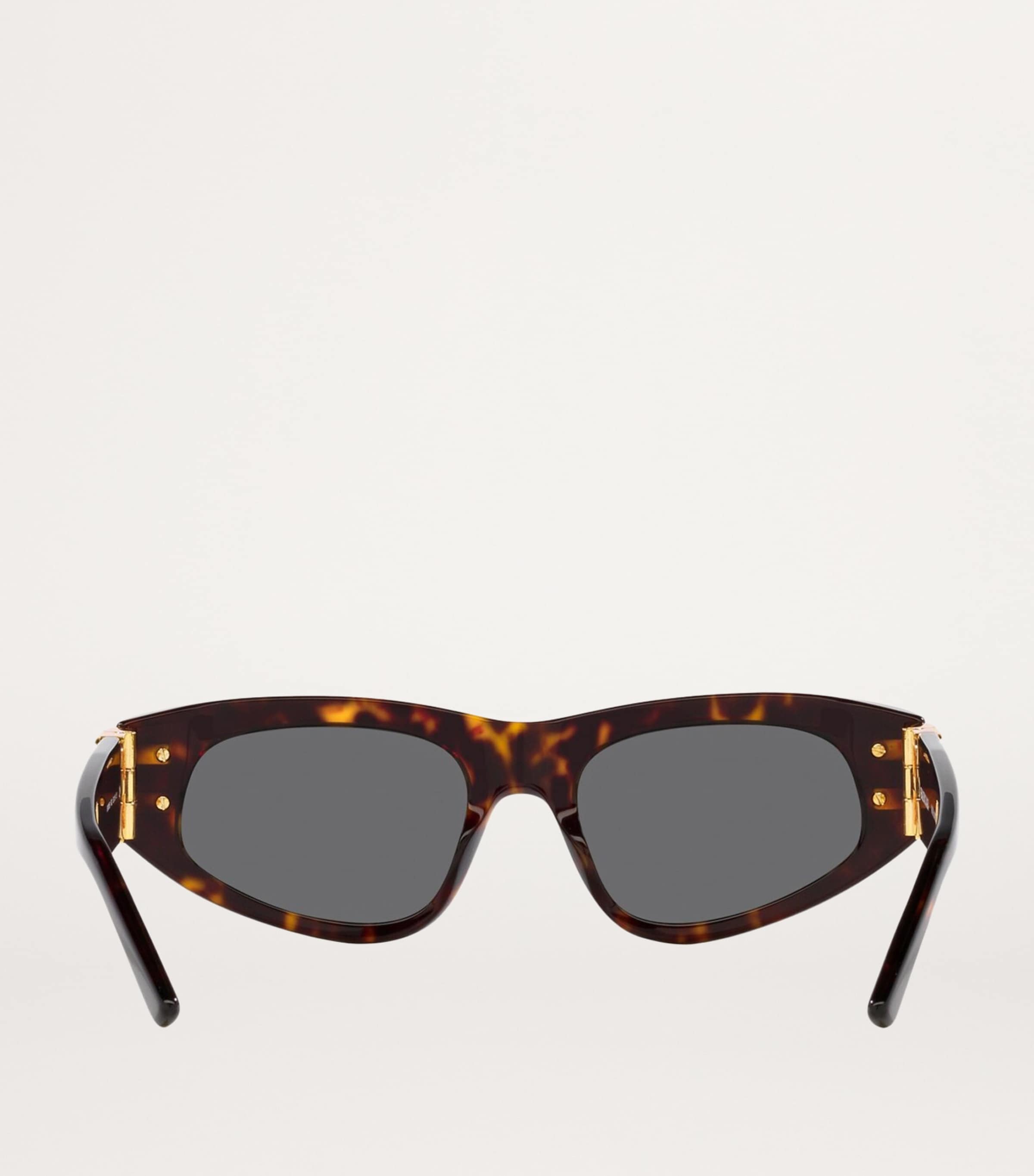 Balenciaga Round BB0095S Sunglasses Image 4