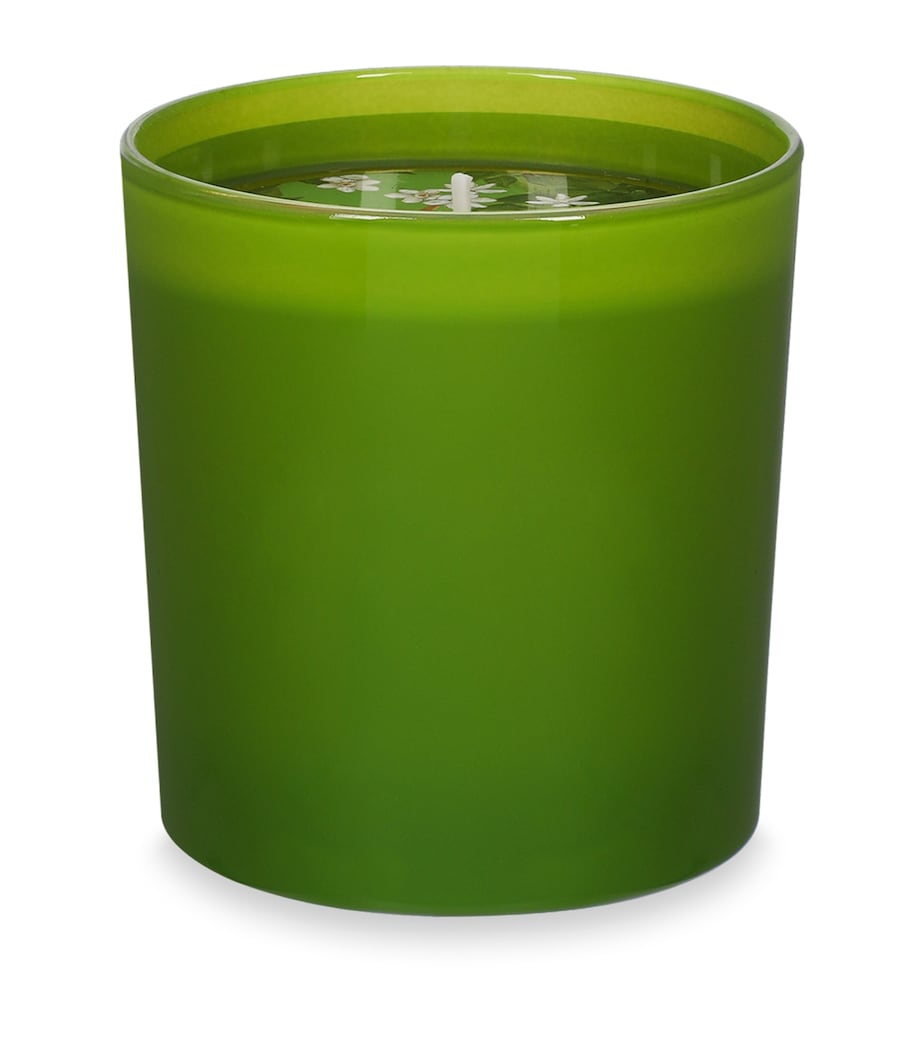 Dolce&Gabbana Casa Arancio Di Sicilia Scented Candle (250g) Arancio Di Sic Image 2