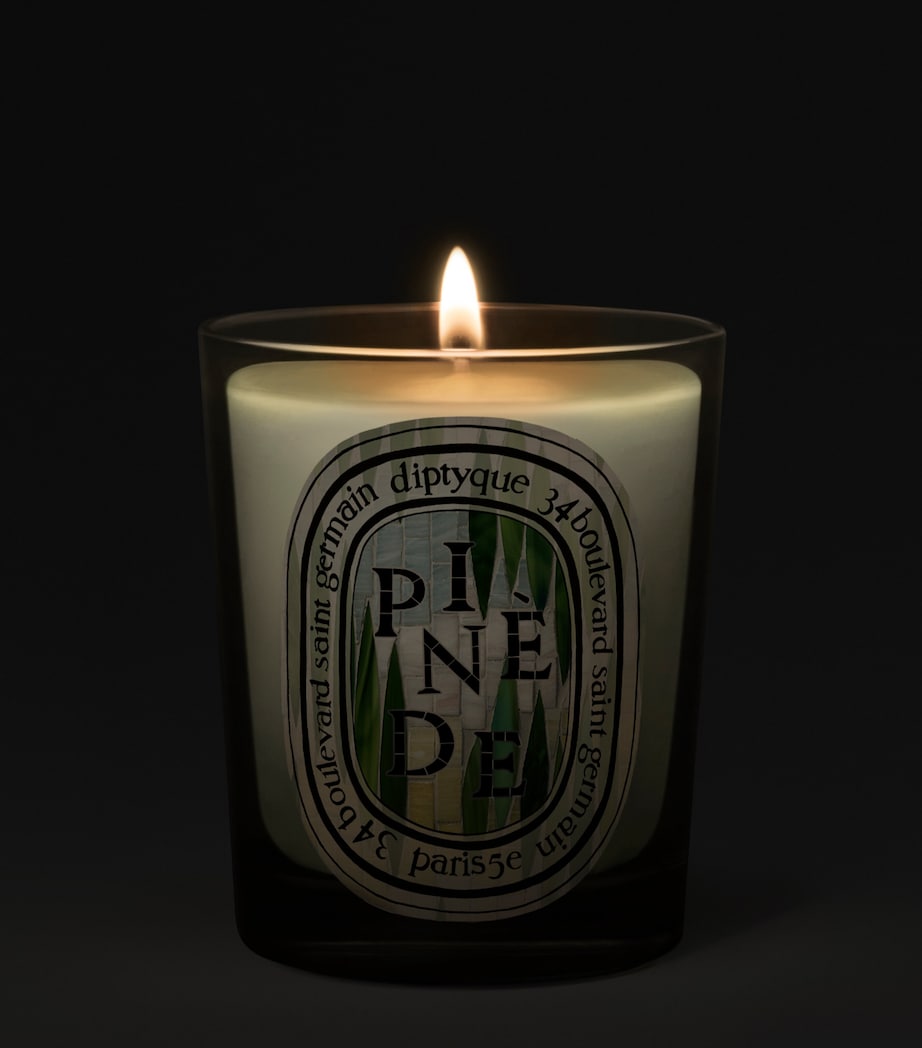 Diptyque Pinede Candle (190g) Image 2
