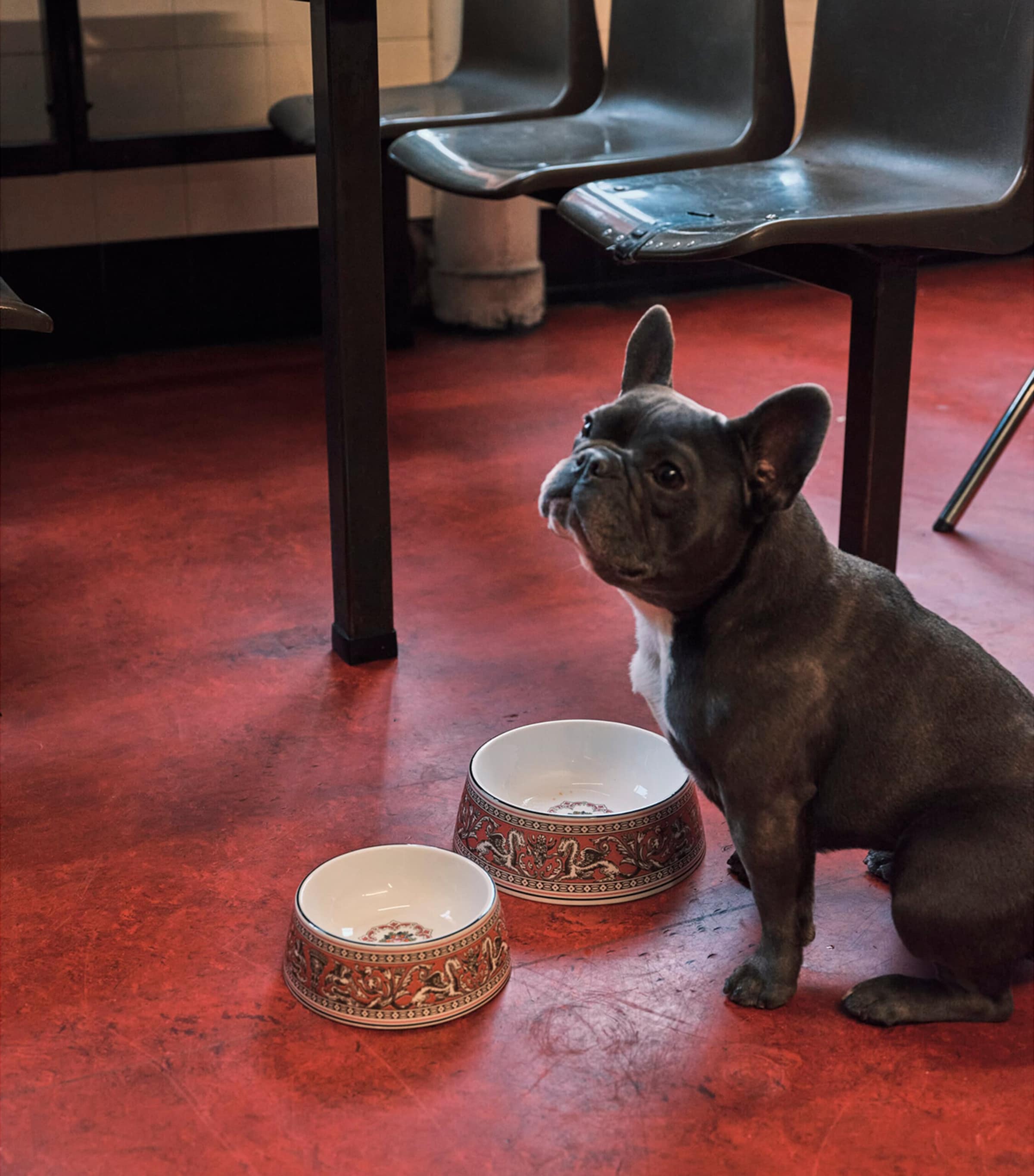 Bone China Florentine Pet Bowl (21cm) PINK Image 2