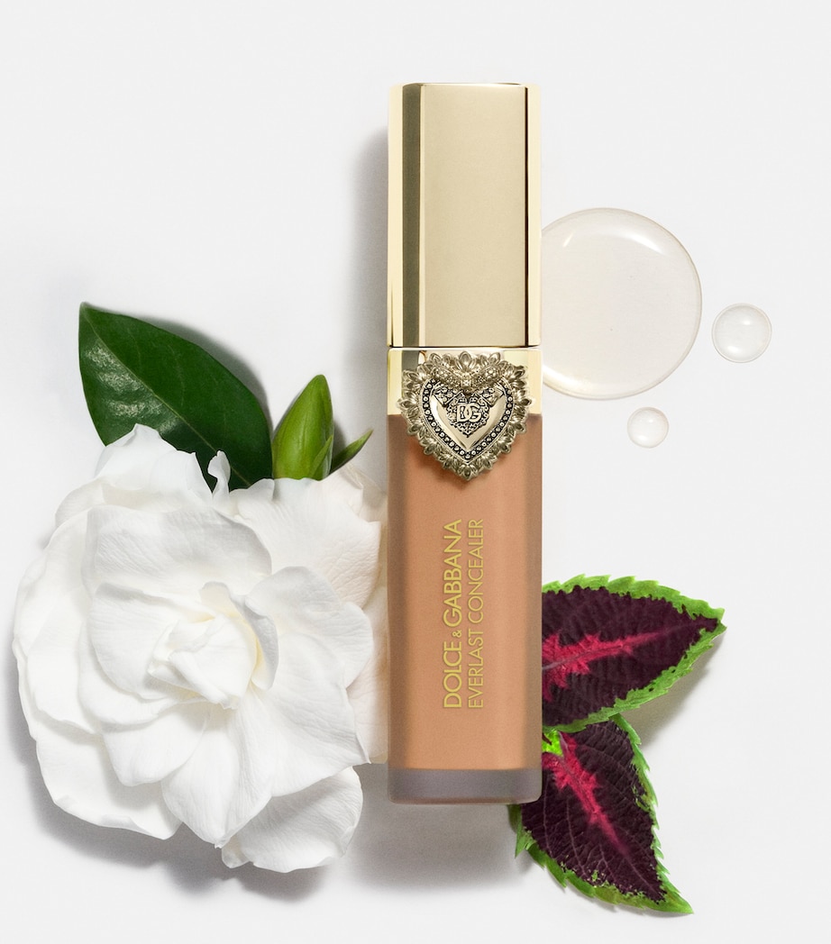 Everlast Concealer 28MEDIUM DEEP Image 7