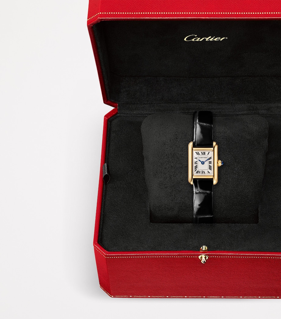 Cartier Mini Yellow Gold Tank Louis Cartier Watch 24mm Silver Image 5