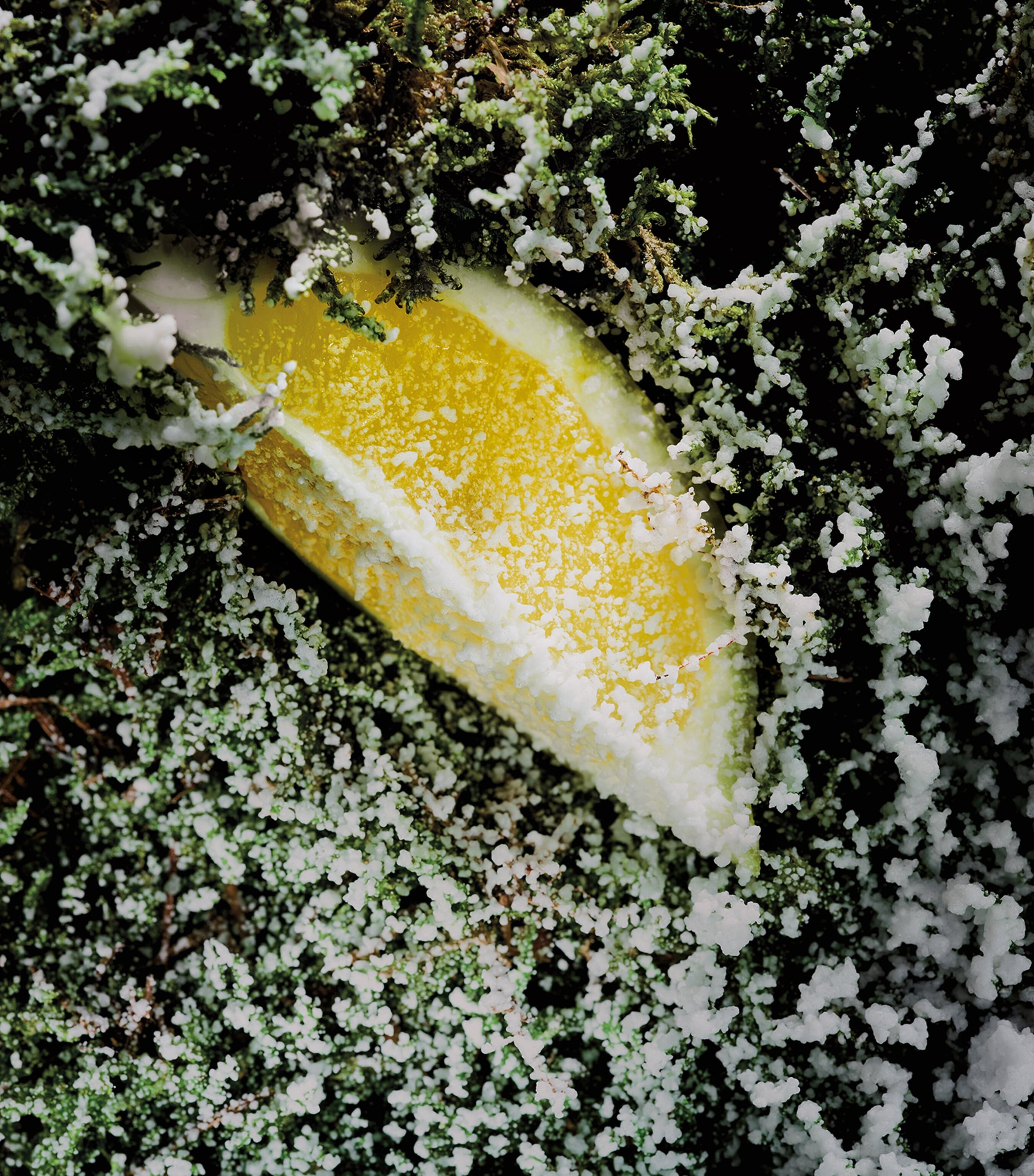 Absinthe Boréale Eau de Parfum (100ml) NO COLOUR Image 8