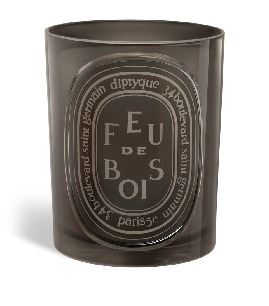 Diptyque Feu de Bois Coloured Candle (300g) Image 1