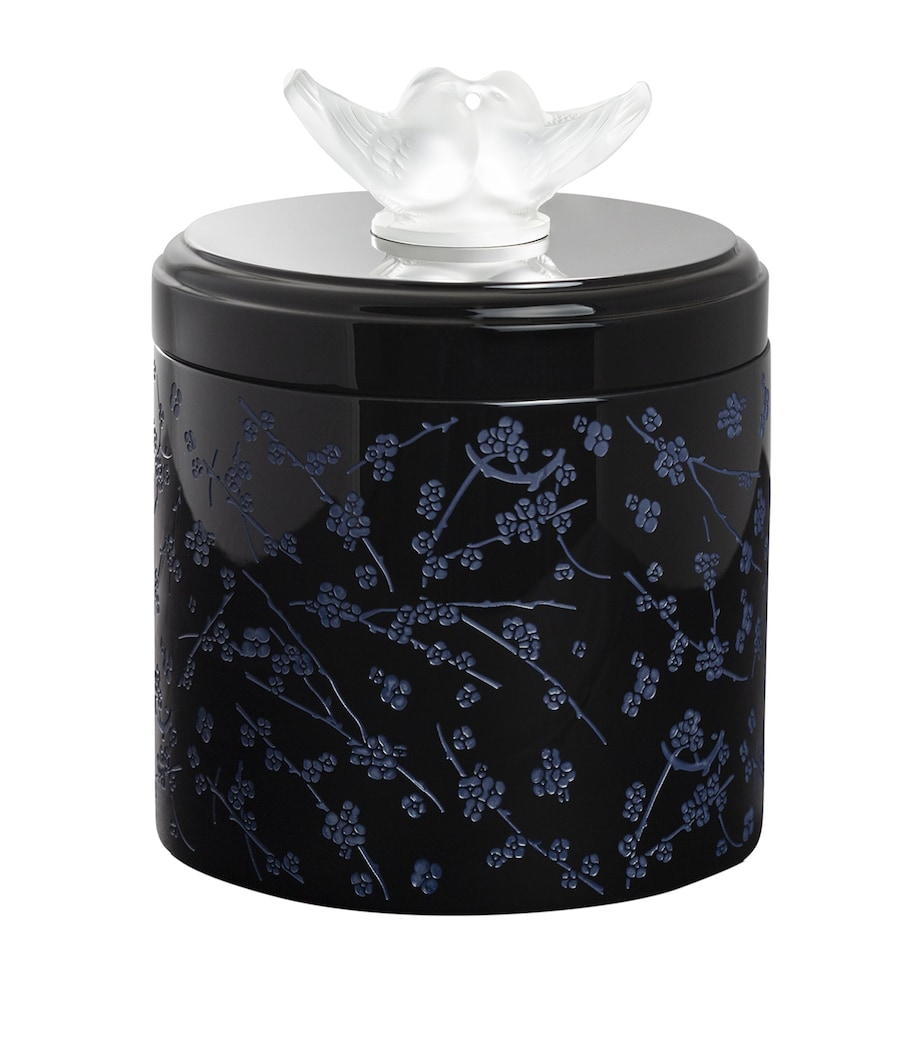 Fleurs de Cerisier Box INCOLORE Image 1