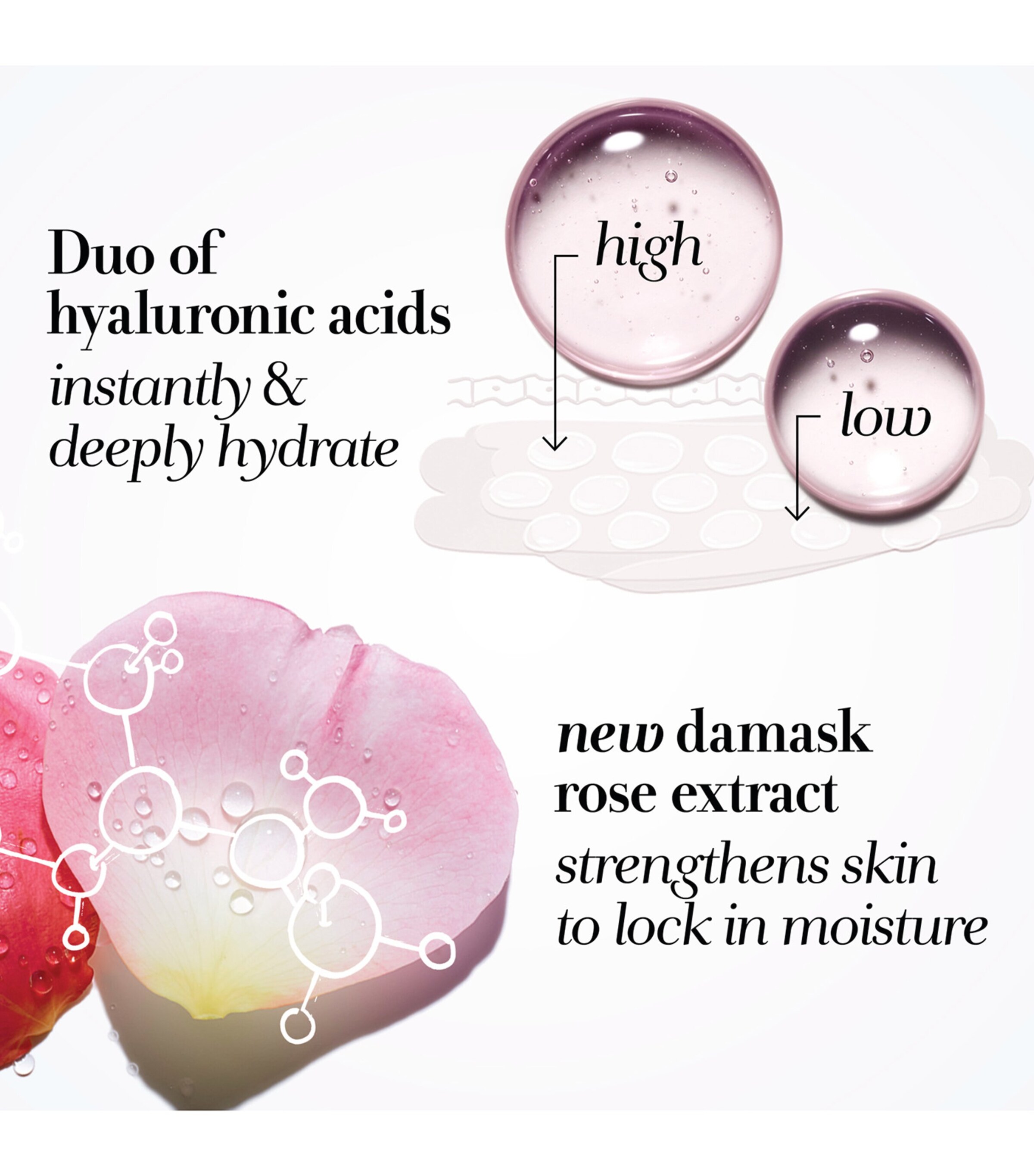 Rose Hydration Face Cream (15ml) NO COLOUR Image 8