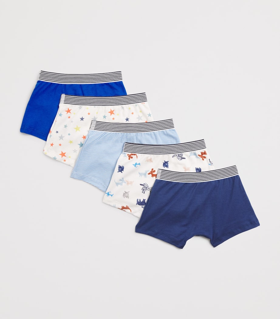Set of 5 Cotton Boxers (2-12 Years) VARIANTE 1 Image 2
