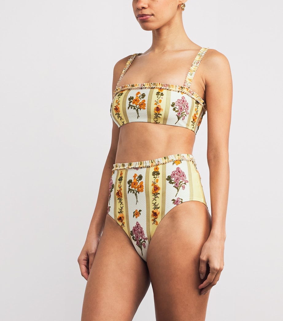 Embroidered Nopal Cordillera Bikini Briefs MULTICOLOR Image 2