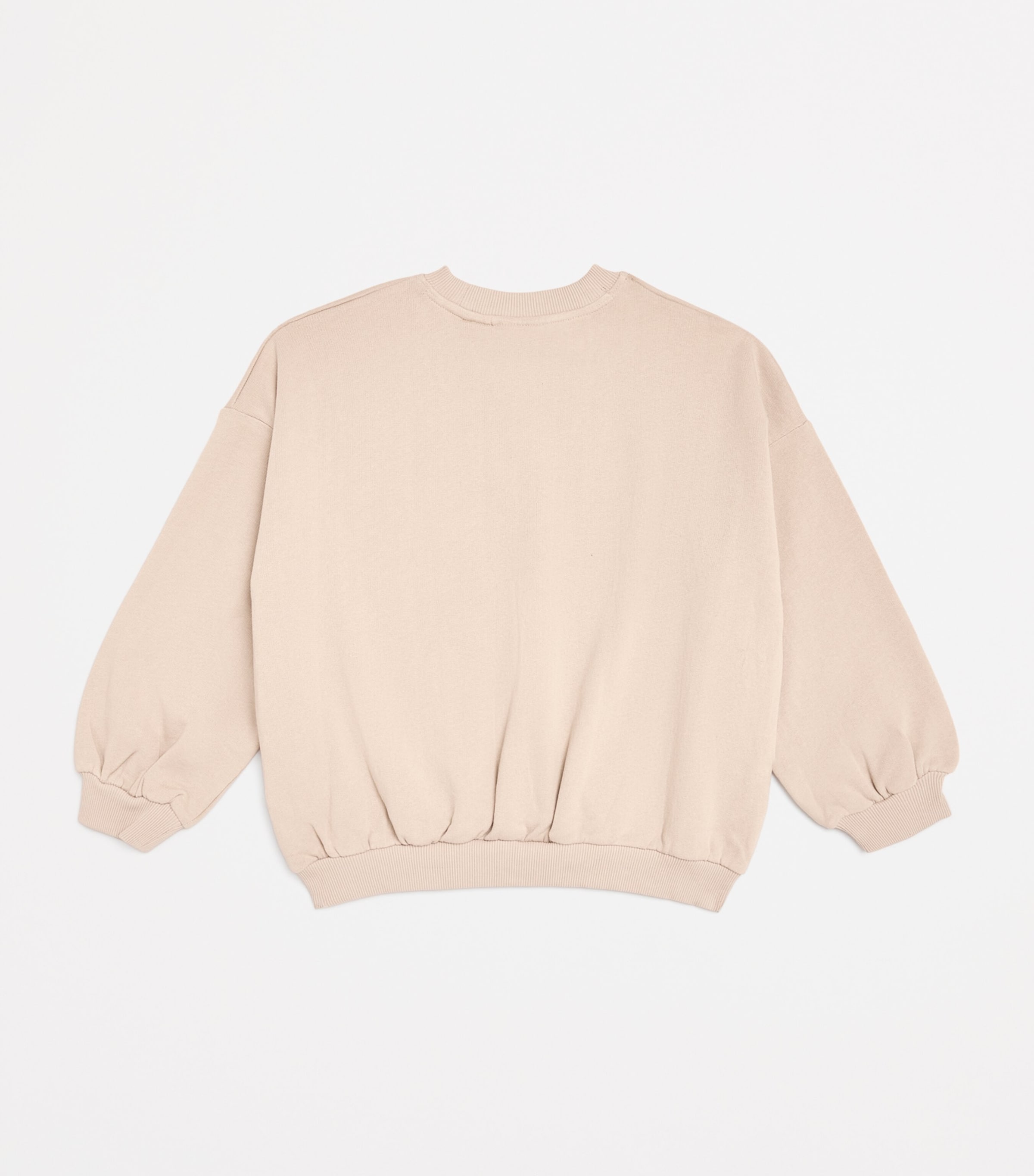 Organic Cotton Doggies Sweatshirt (3-11 Years) 97GREY Image 2