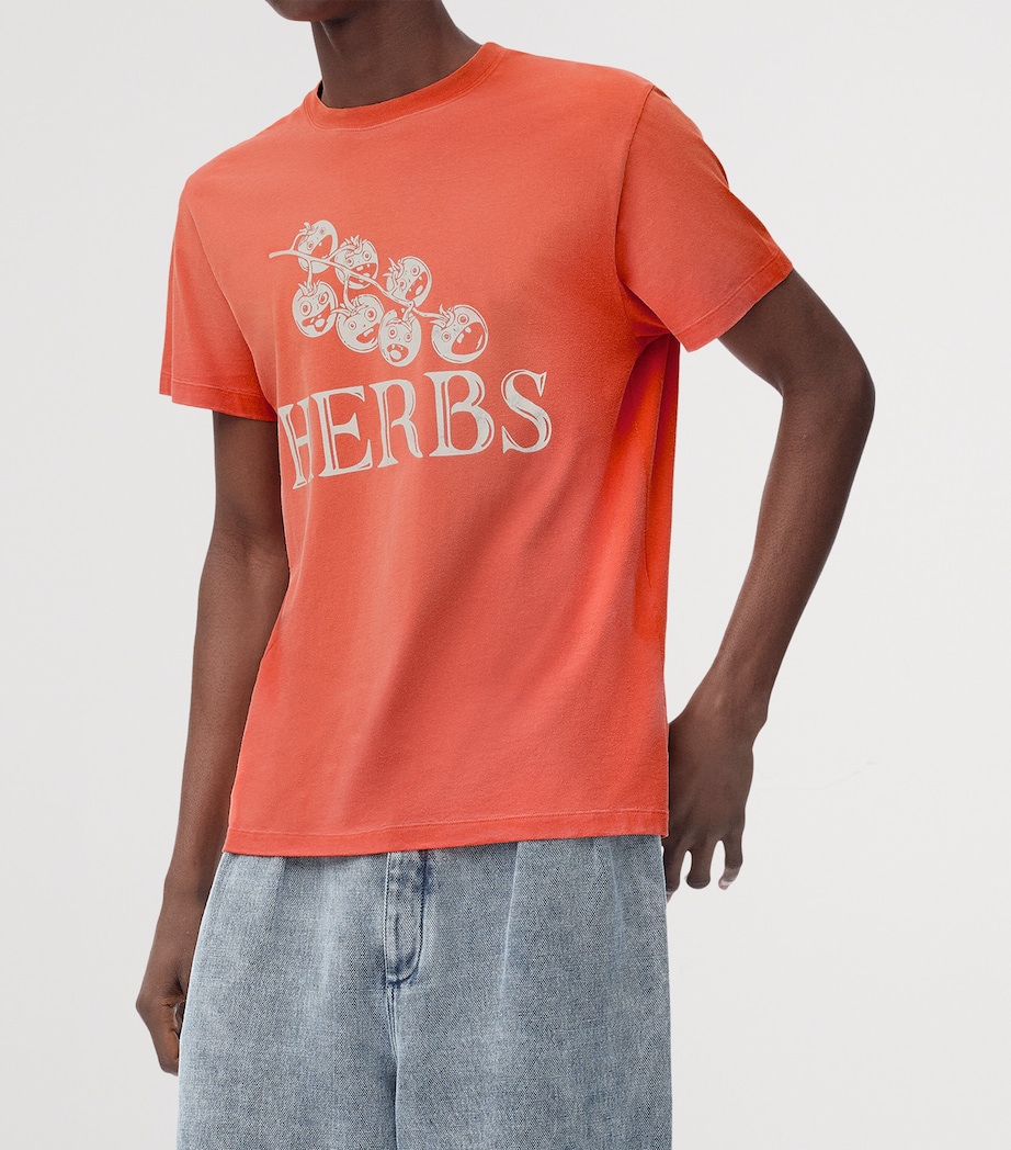 Cotton Tomato Print T-Shirt ORANGE Image 4