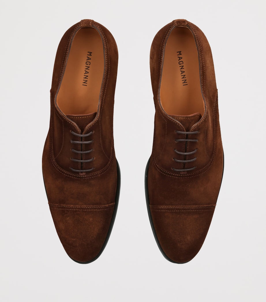 Suede Madis Oxford Shoes BROWN Image 4