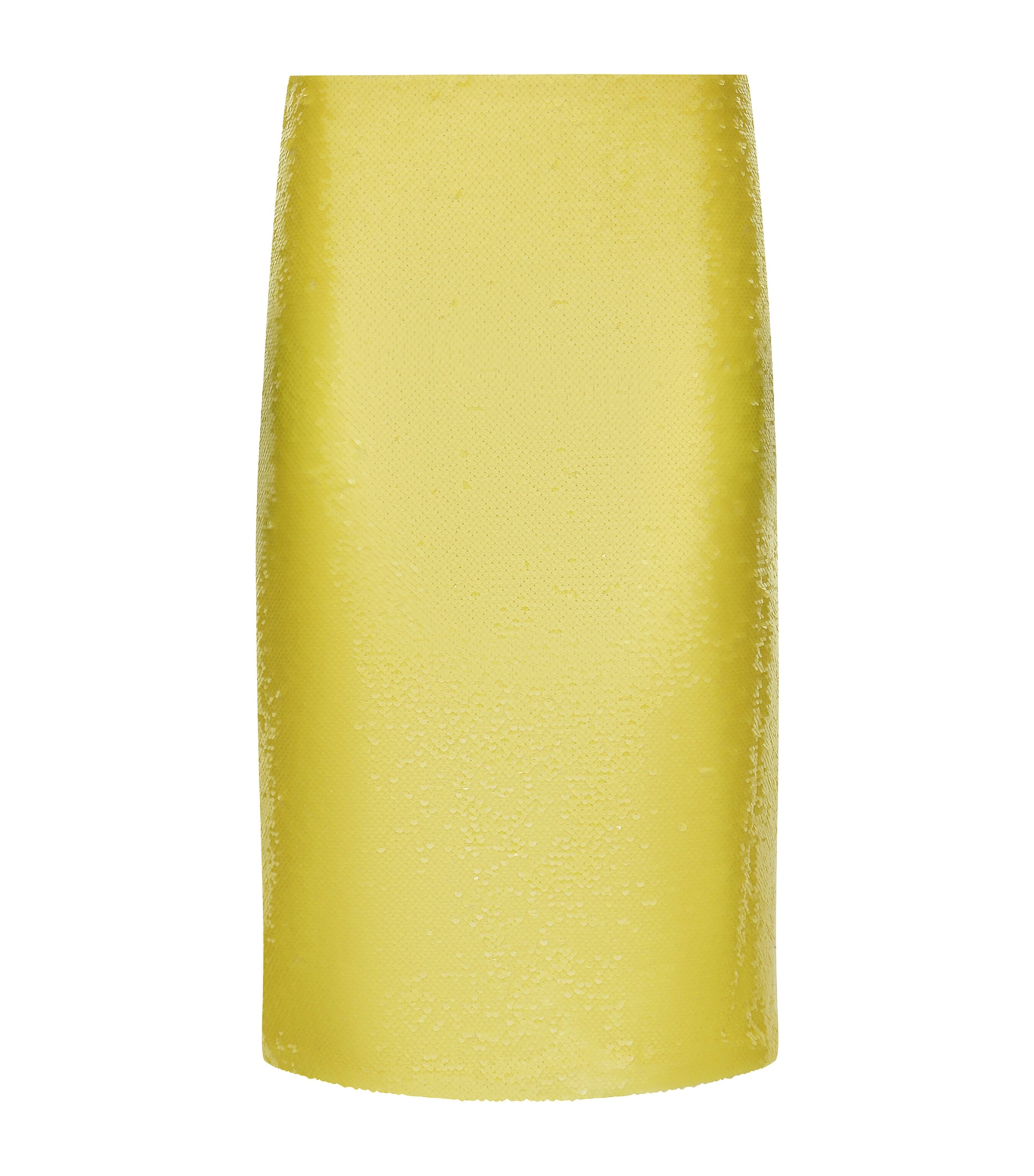 Shop Dolce & Gabbana Sequinned Midi Skirt