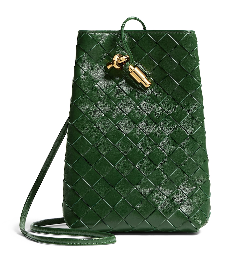 Bottega Veneta Nappa Leather Andiamo Phone Pouch Image 1