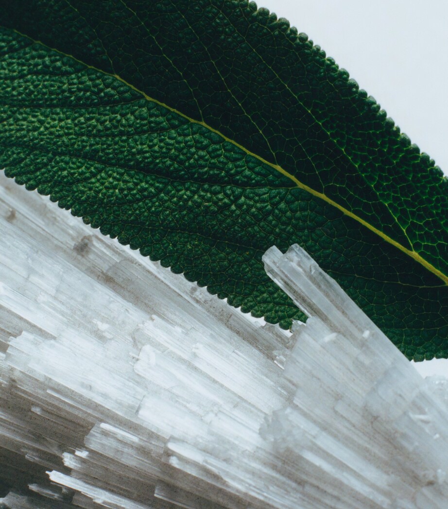 Decorated Wood Sage & Sea Salt Cologne (30ml) NO COLOUR Image 2