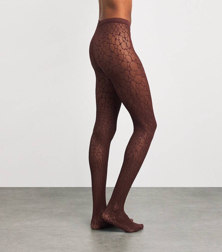 Net Reptile Tights 4871 MAHAGONY Image 3