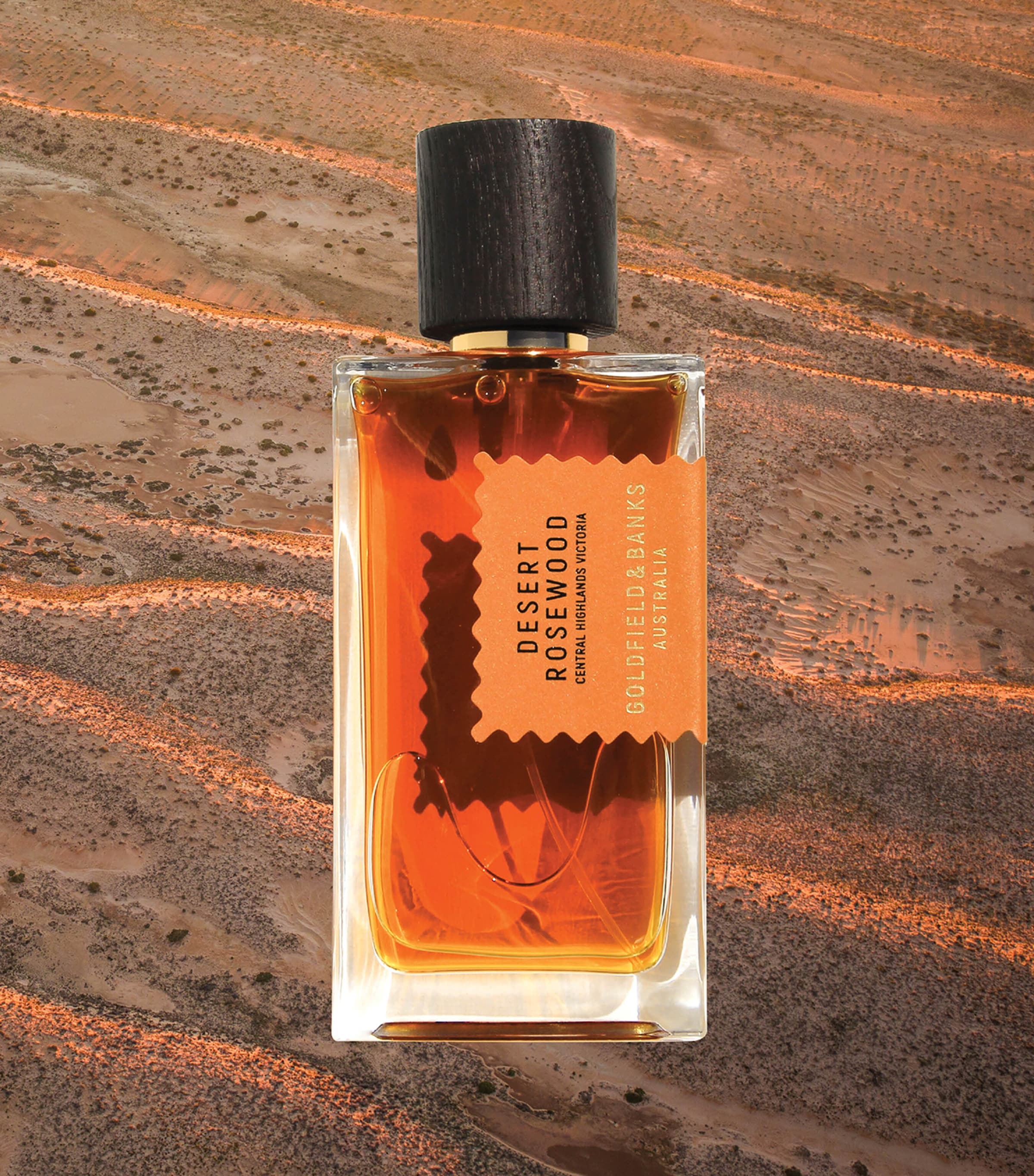 Desert Rosewood Pure Perfume (100ml) NO COLOUR Image 3