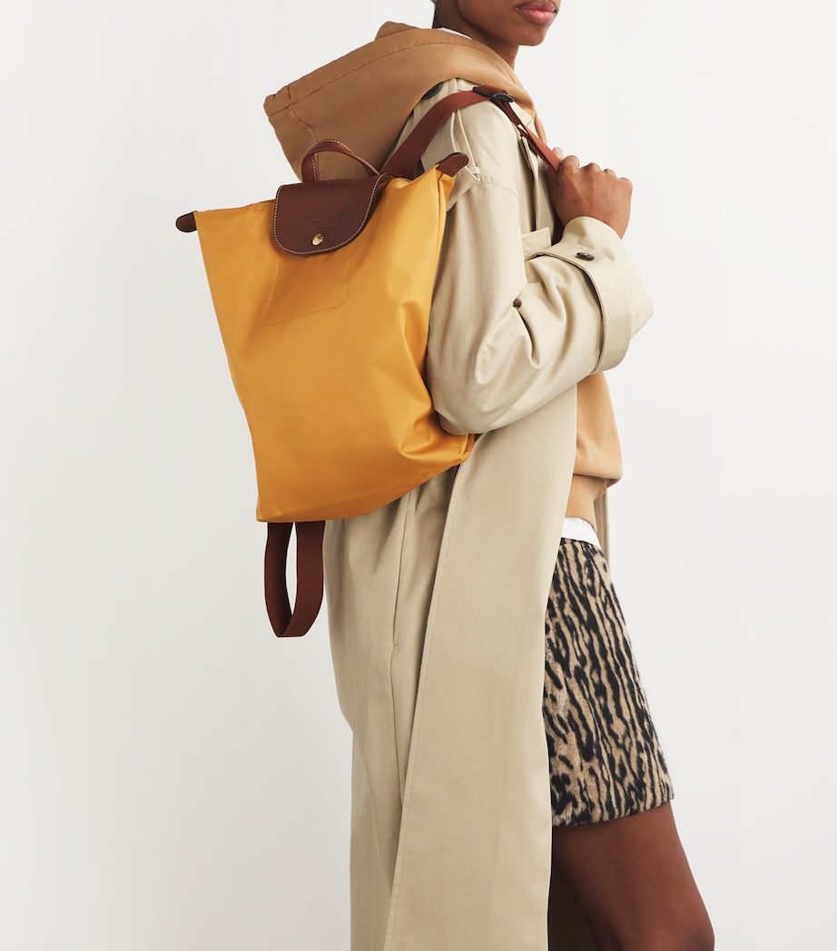 Medium Le Pliage Original Backpack P86 FAWN Image 2