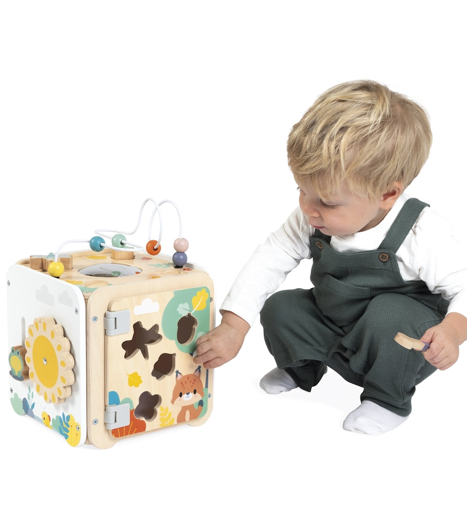 Janod Multi Activity Cube Image 11