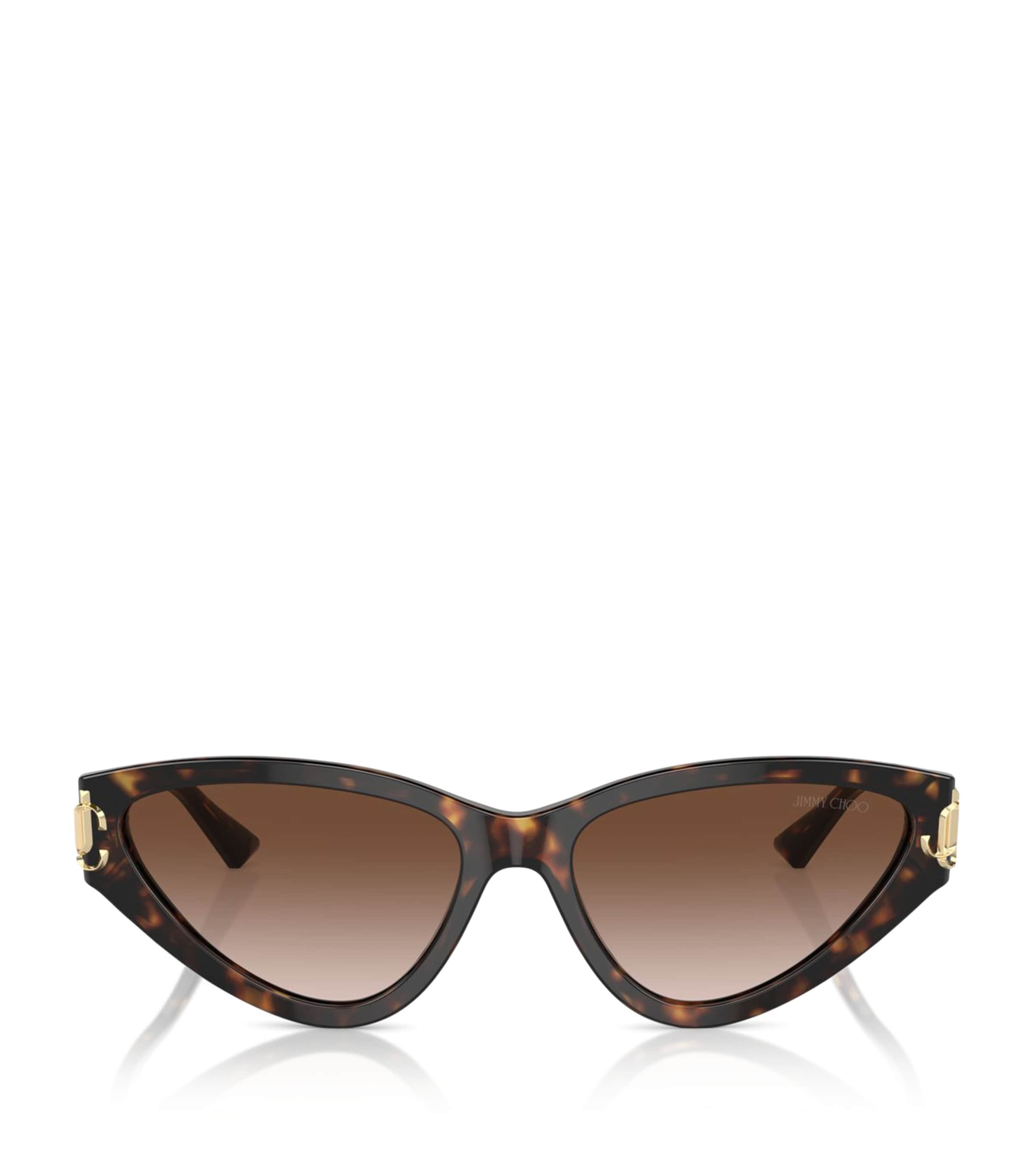 Jimmy Choo Acetate Jc5019 Sunglasses In Brown