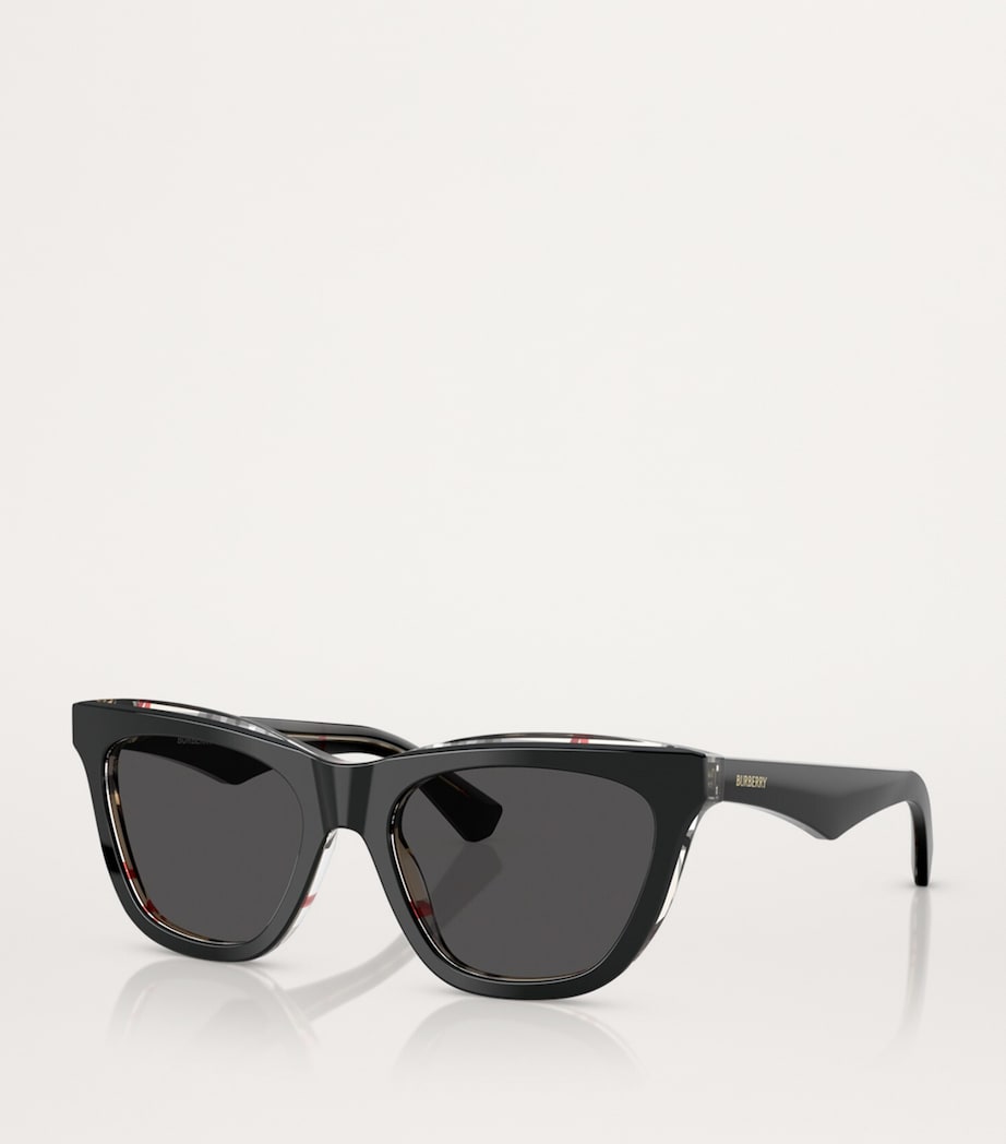 Acetate Wayfarer Sunglasses 412187 Image 2