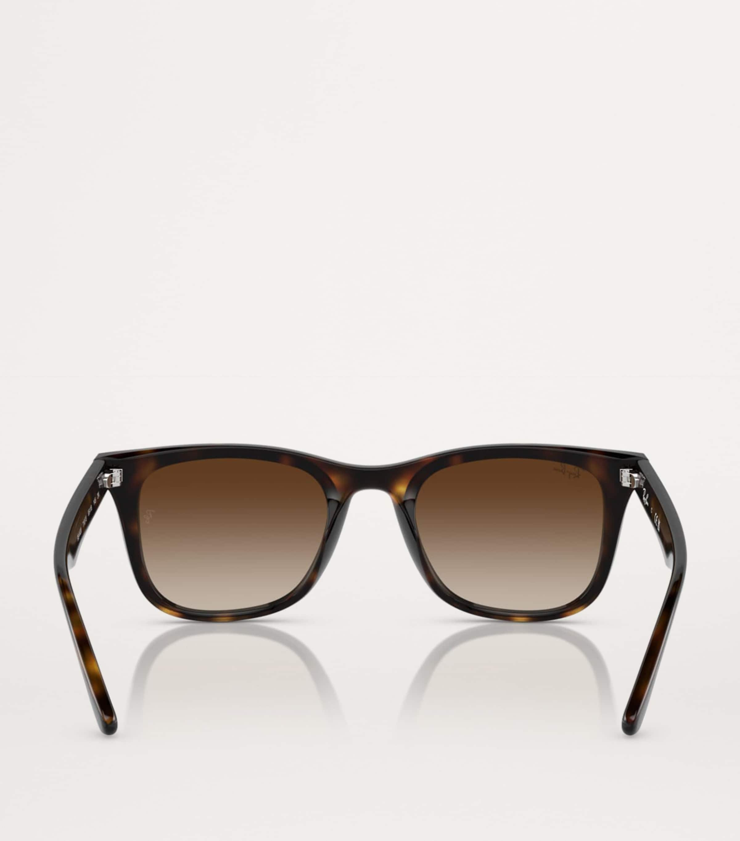 Injected RB4420 Sunglasses 710/13 Image 3