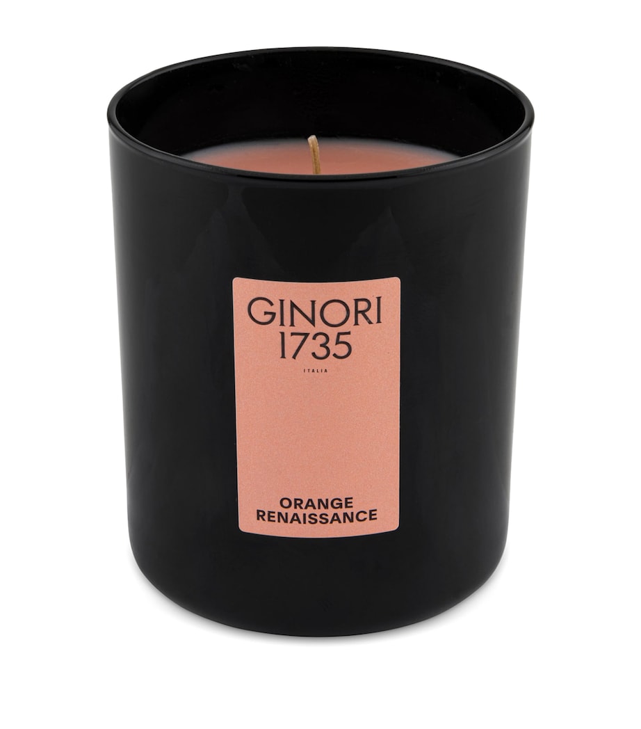 Orange Renaissance Candle (350g) MULTI Image 1