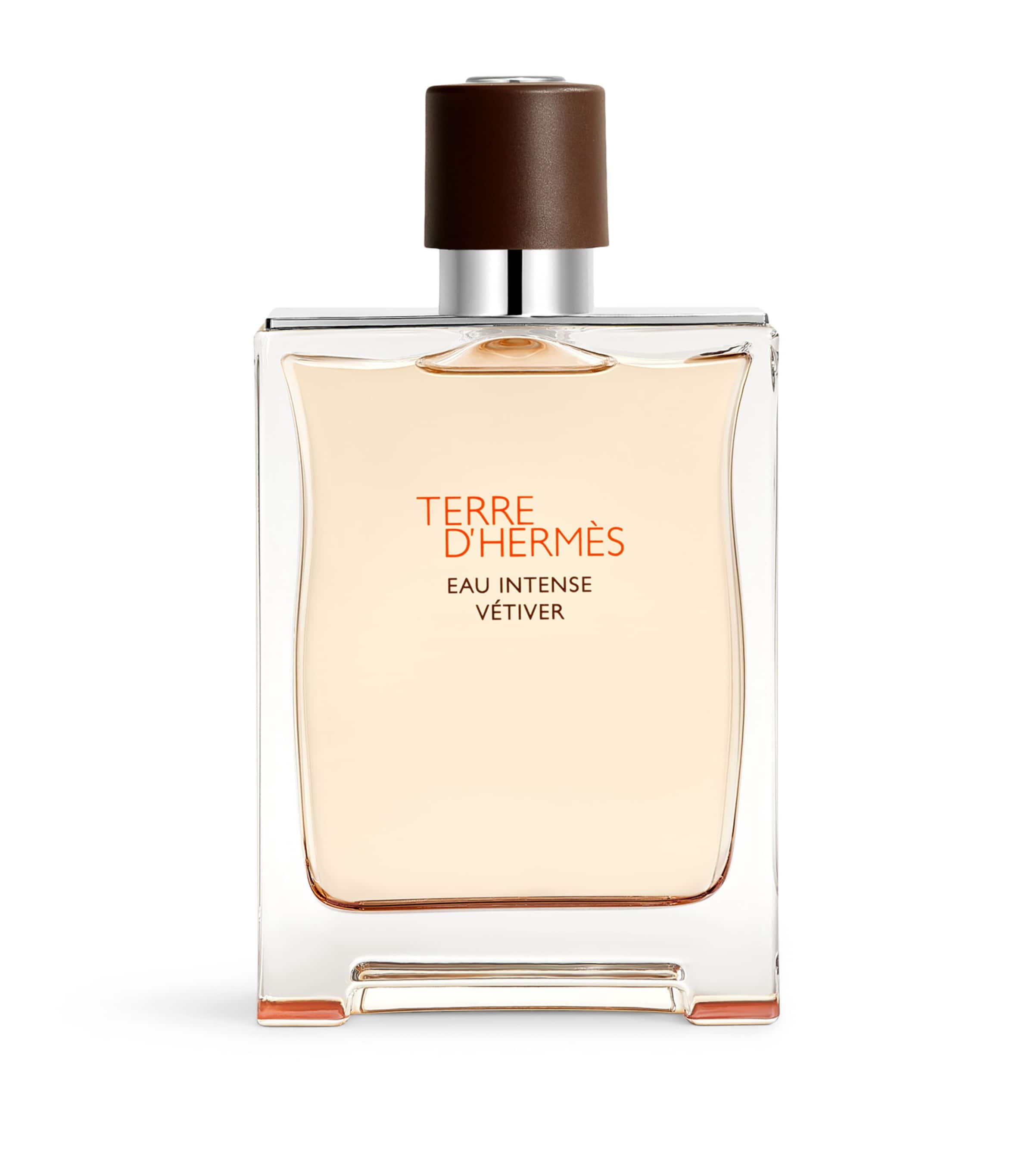 HERMÈS Terre d'Hermès Eau Intense Vétiver Eau de Parfum (200ml) Image 2