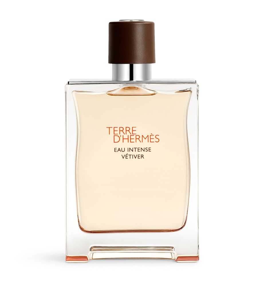 HERMÈS Terre d'Hermès Eau Intense Vétiver Eau de Parfum (200ml) Image 2