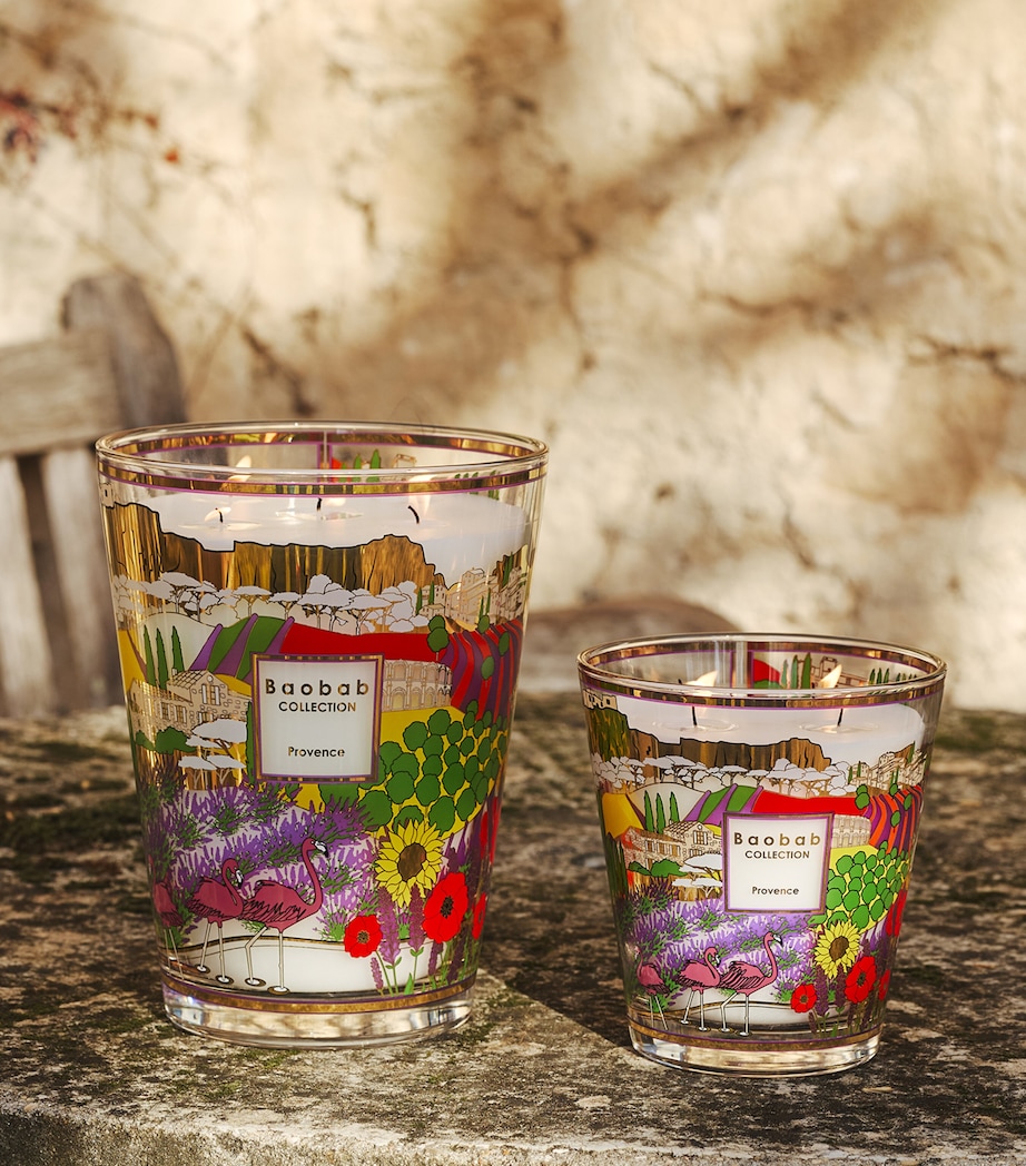 Baobab Collection Provence Scented Candle (16cm) Gold Image 3