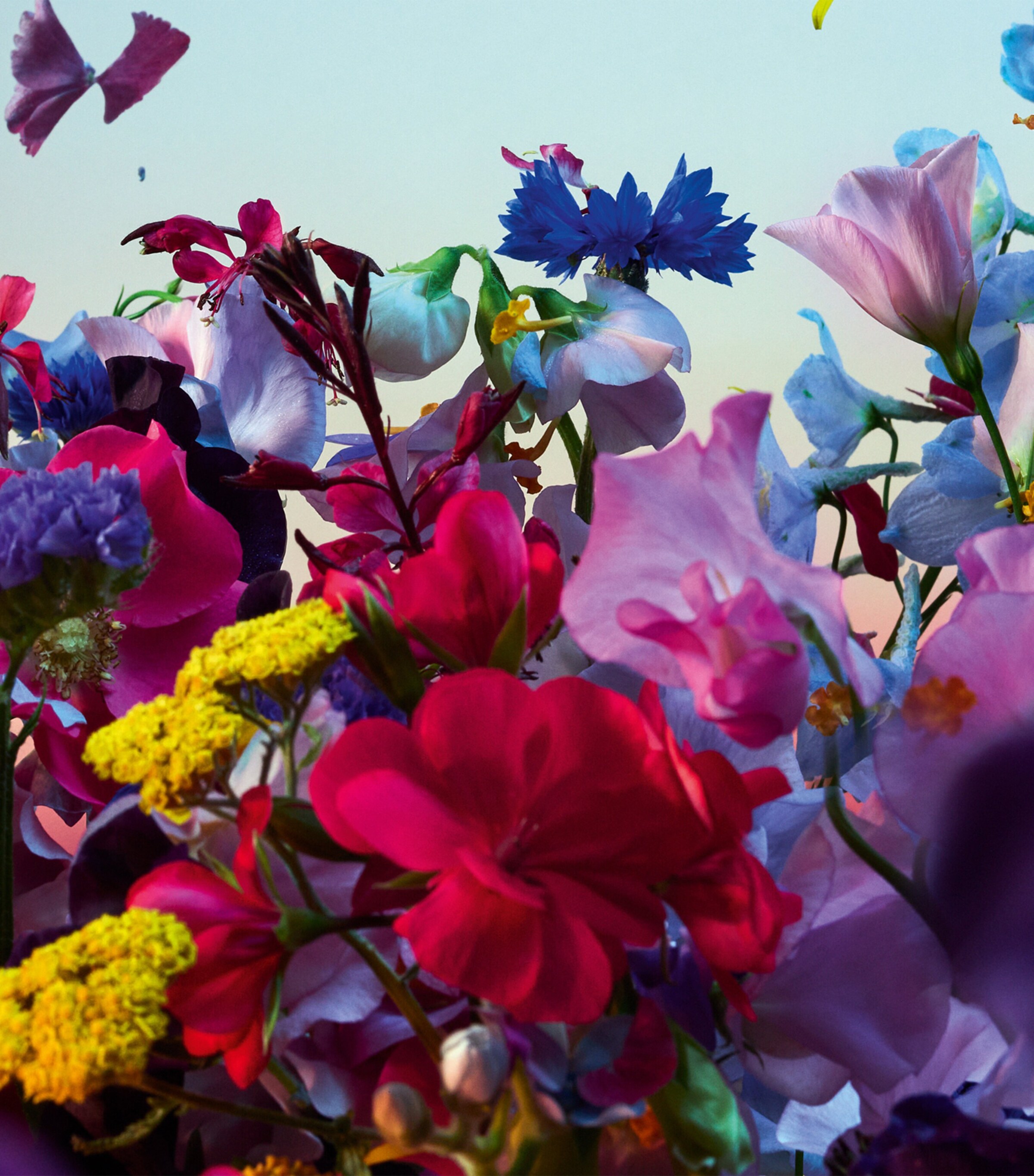 Absolus Allegoria Florabloom Eau de Parfum (125ml) NO COLOUR Image 4