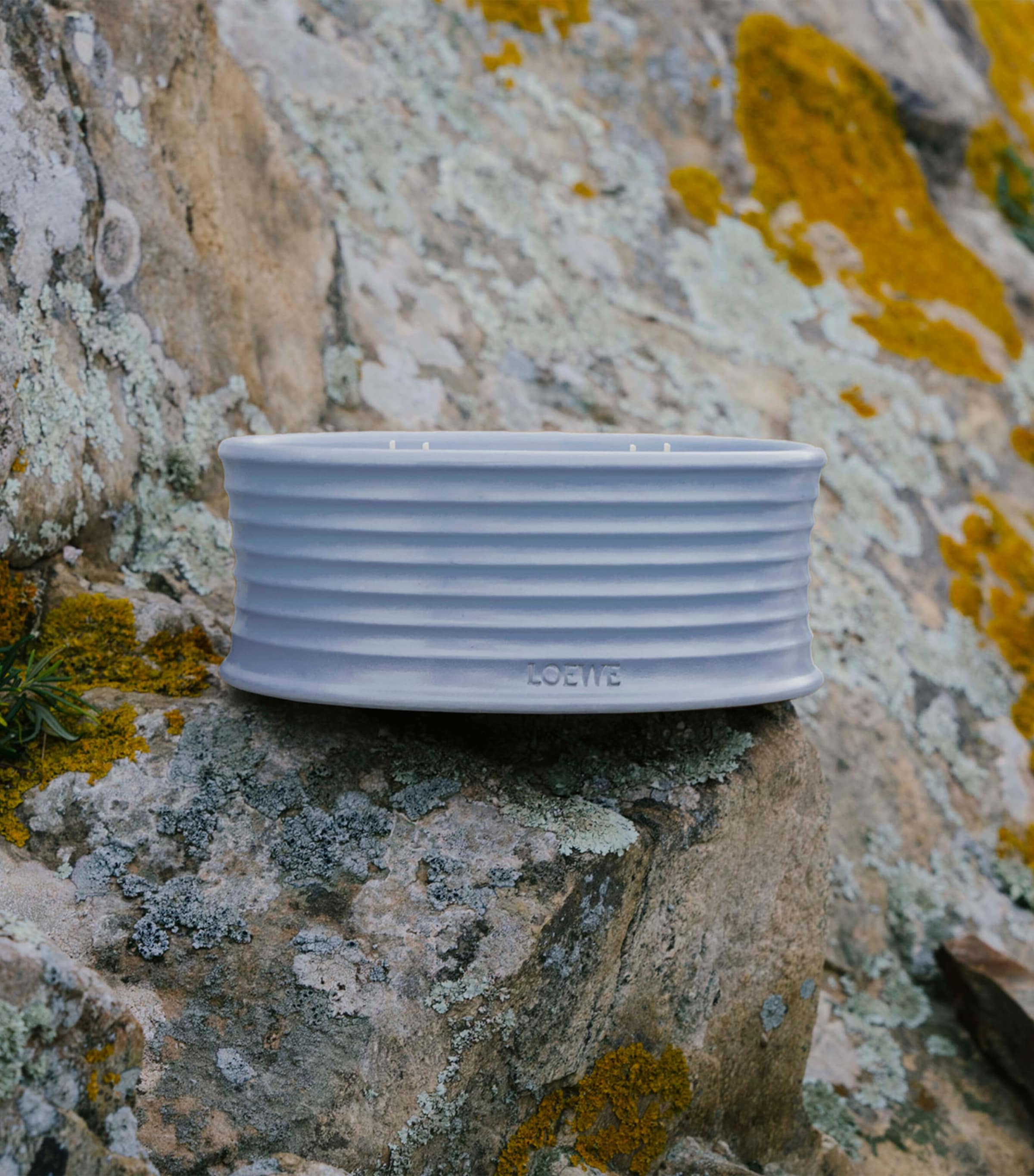 Verbena Outdoor Candle NO COLOUR Image 4