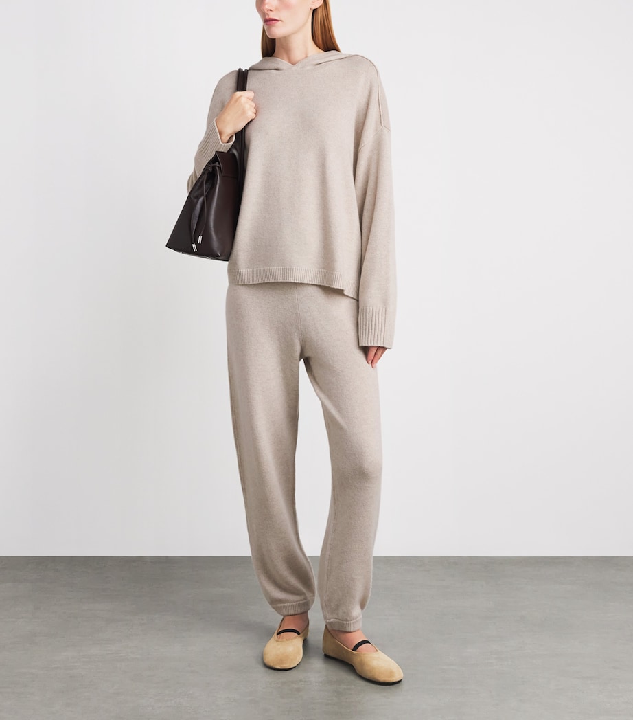 arch 4 Womens Cashmere Sarah Hoodie Chai Image 2