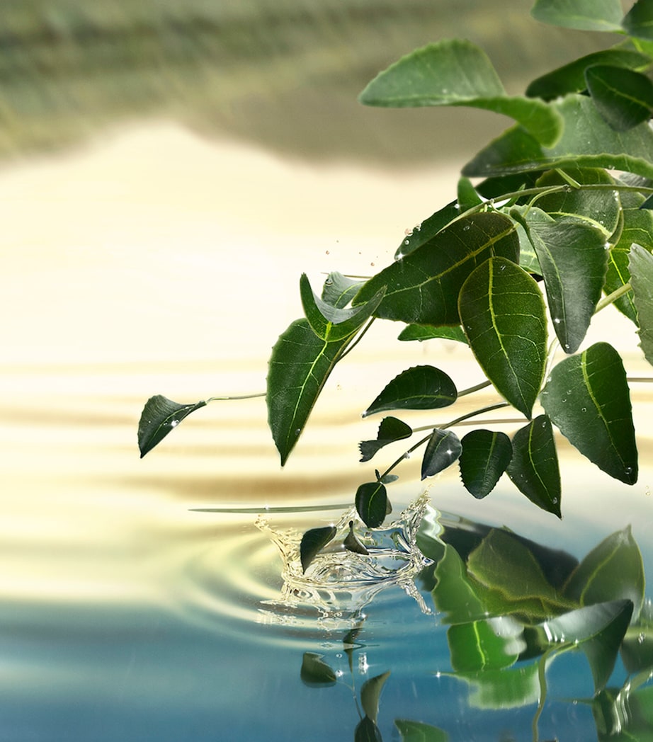 Tender Light Eau de Parfum (100ml) NO COLOUR Image 3