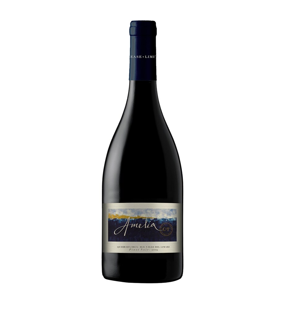 AMELIA Amelia Pinot Noir 2020 (75cl) - Central Chile Image 1