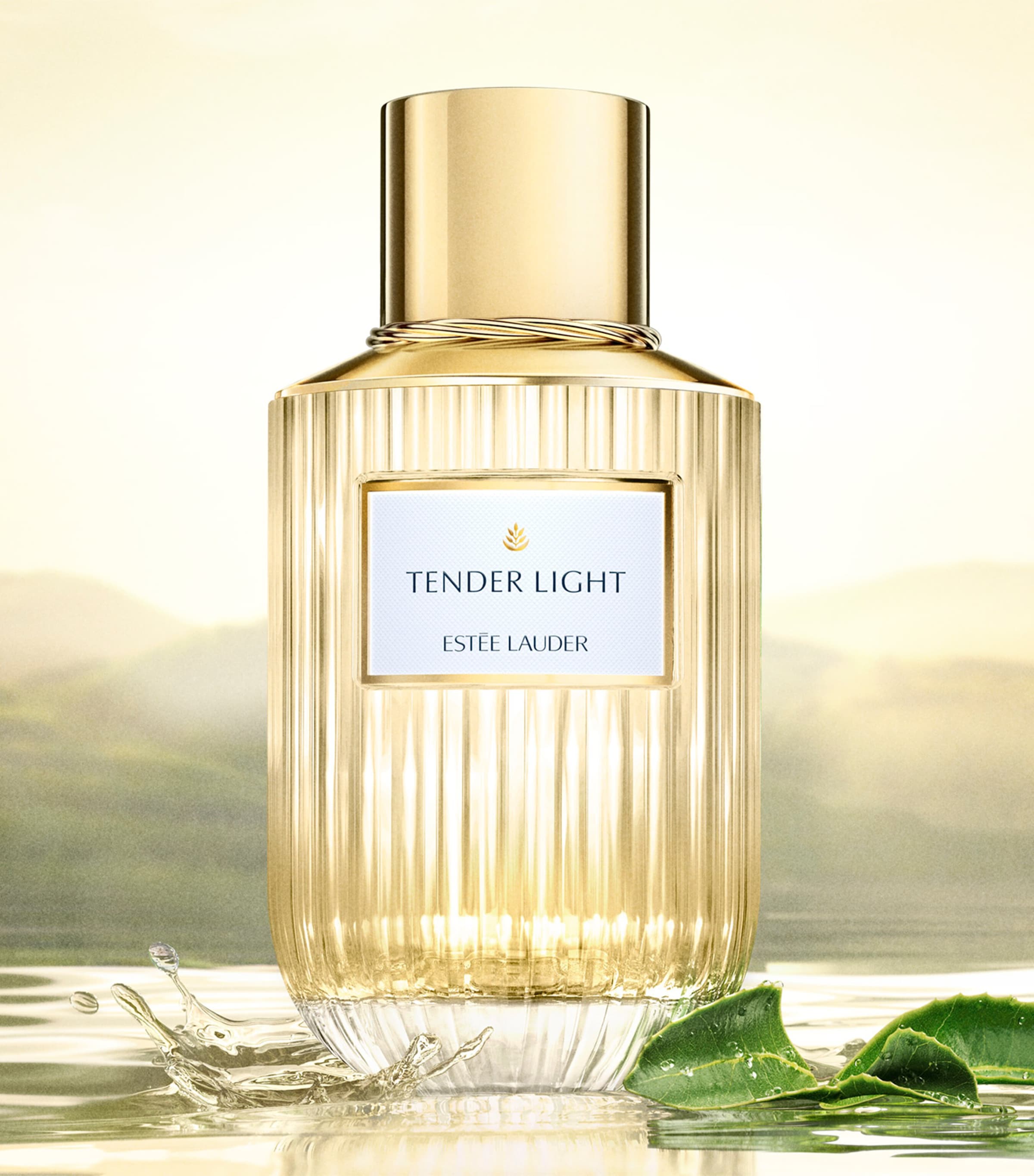 Estée Lauder Tender Light Eau de Parfum (100ml) | Harrods US